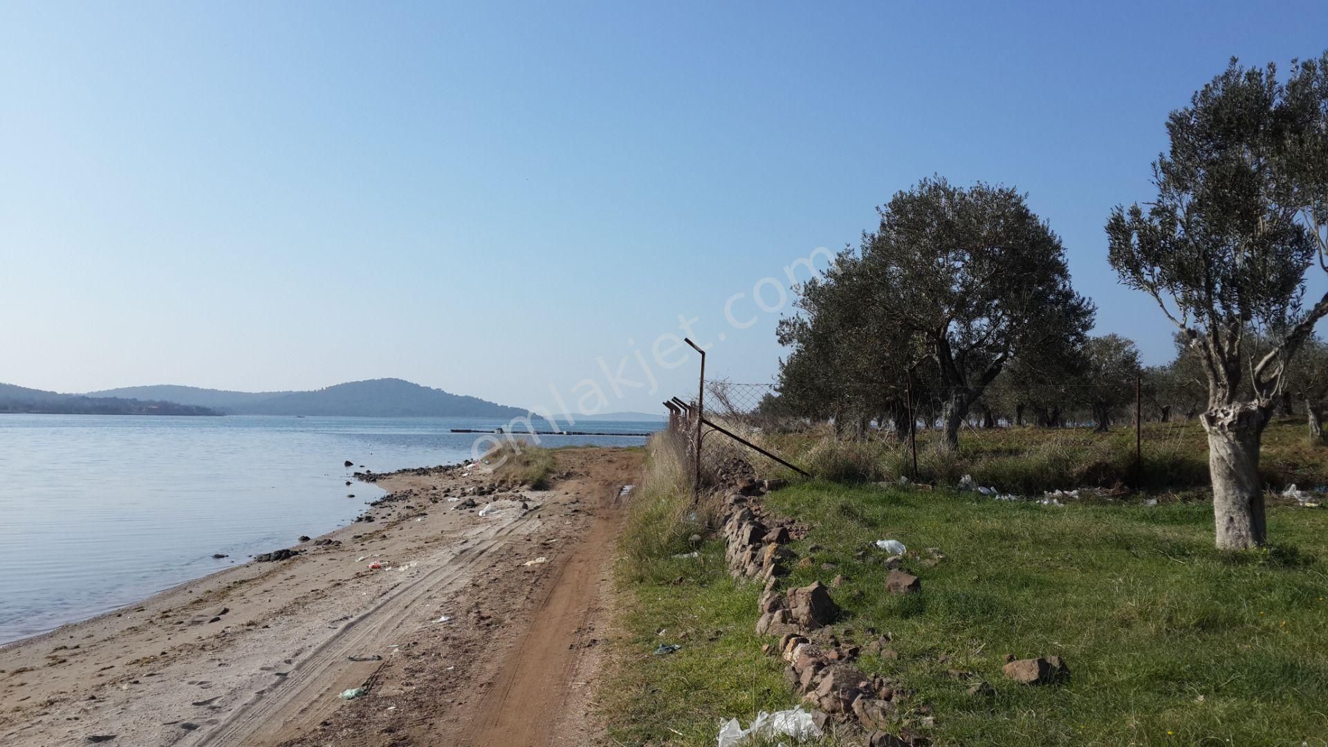 Ayvalık Namık Kemal Satılık Muhtelif Arsa  BALIKESİR AYVALIK CUNDA DA SATILIK 28 DONUM ARSA.DENİZE SIFIR.