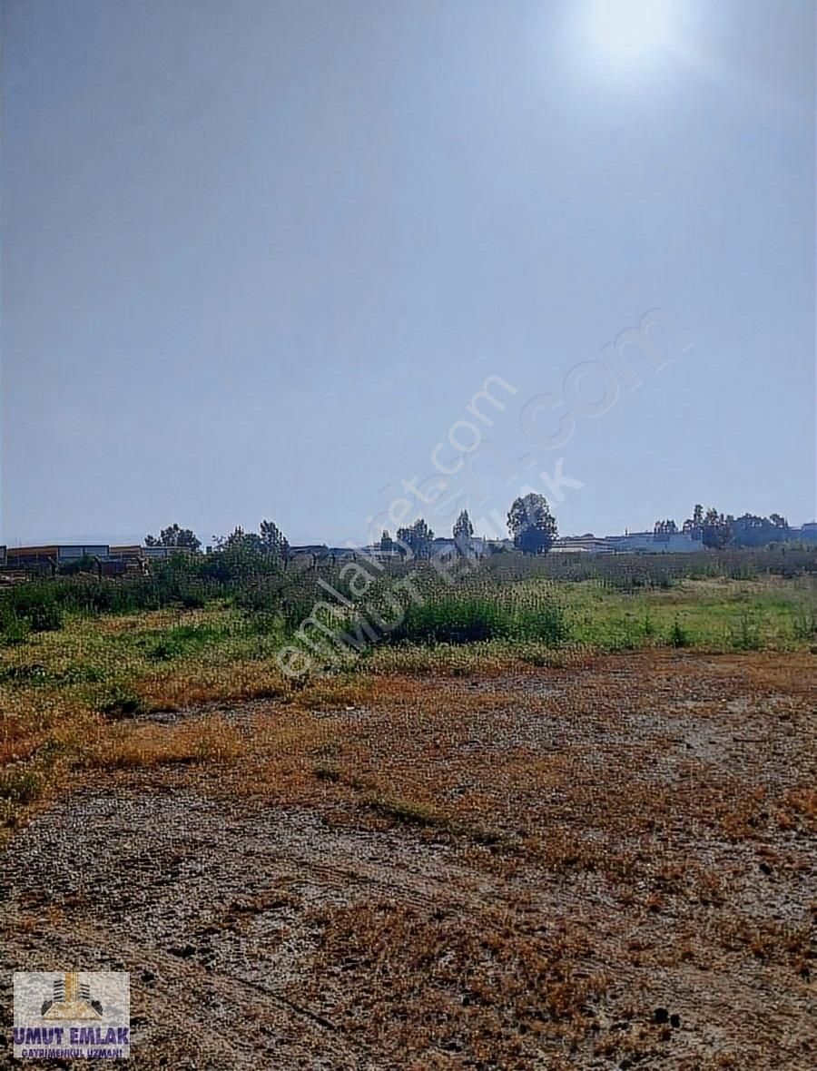 Aydın Çıldır Hava Alanı Yolunda Astiste Sanayii İmarlı Satılık Arsa 10.350 M2 - Görsel 15