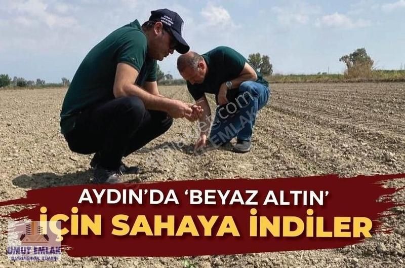 Efeler Ovaeğmirde 29,333 M2 (dönüm) Satılık Tarım Arazisi Tarla - Görsel 16