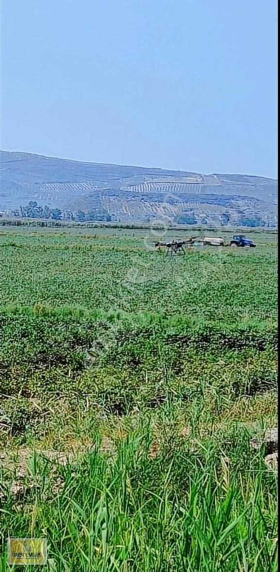 Efeler Ovaeğmirde 29,333 M2 (dönüm) Satılık Tarım Arazisi Tarla - Görsel 8