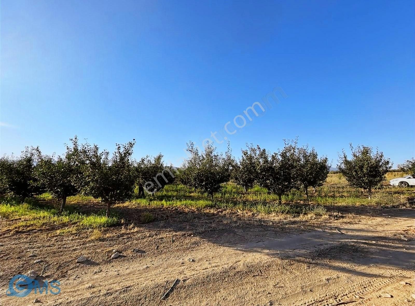 Korkuteli Küçükköy Satılık Tarla Antalya Korkuteli bayat mevki elktirk yol su 1181 metre