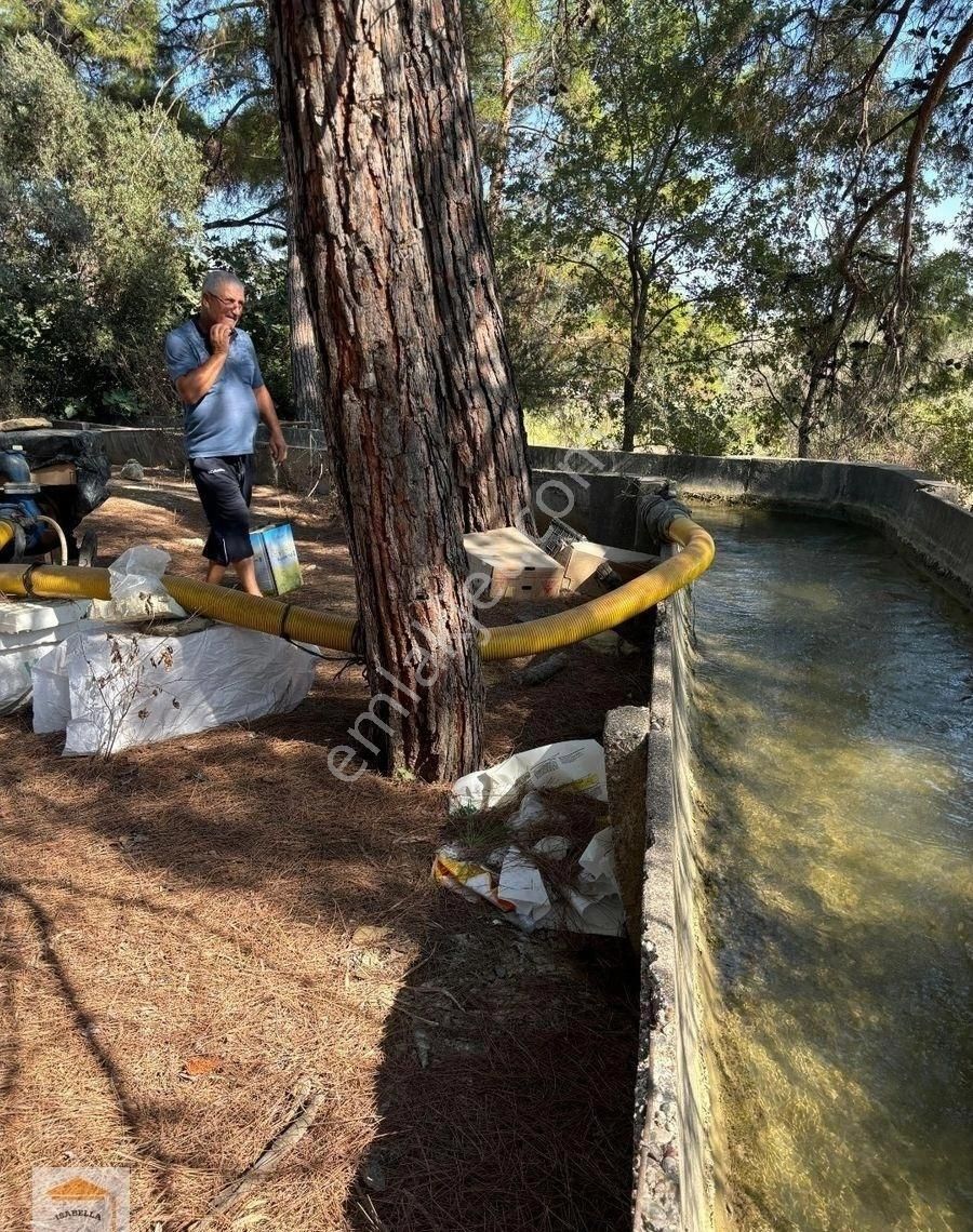 Manavgat Çavuşköy Satılık Tarla BAHÇE, SERA VE ÇİFTÇİLİK İÇİN UYGUN TARLA