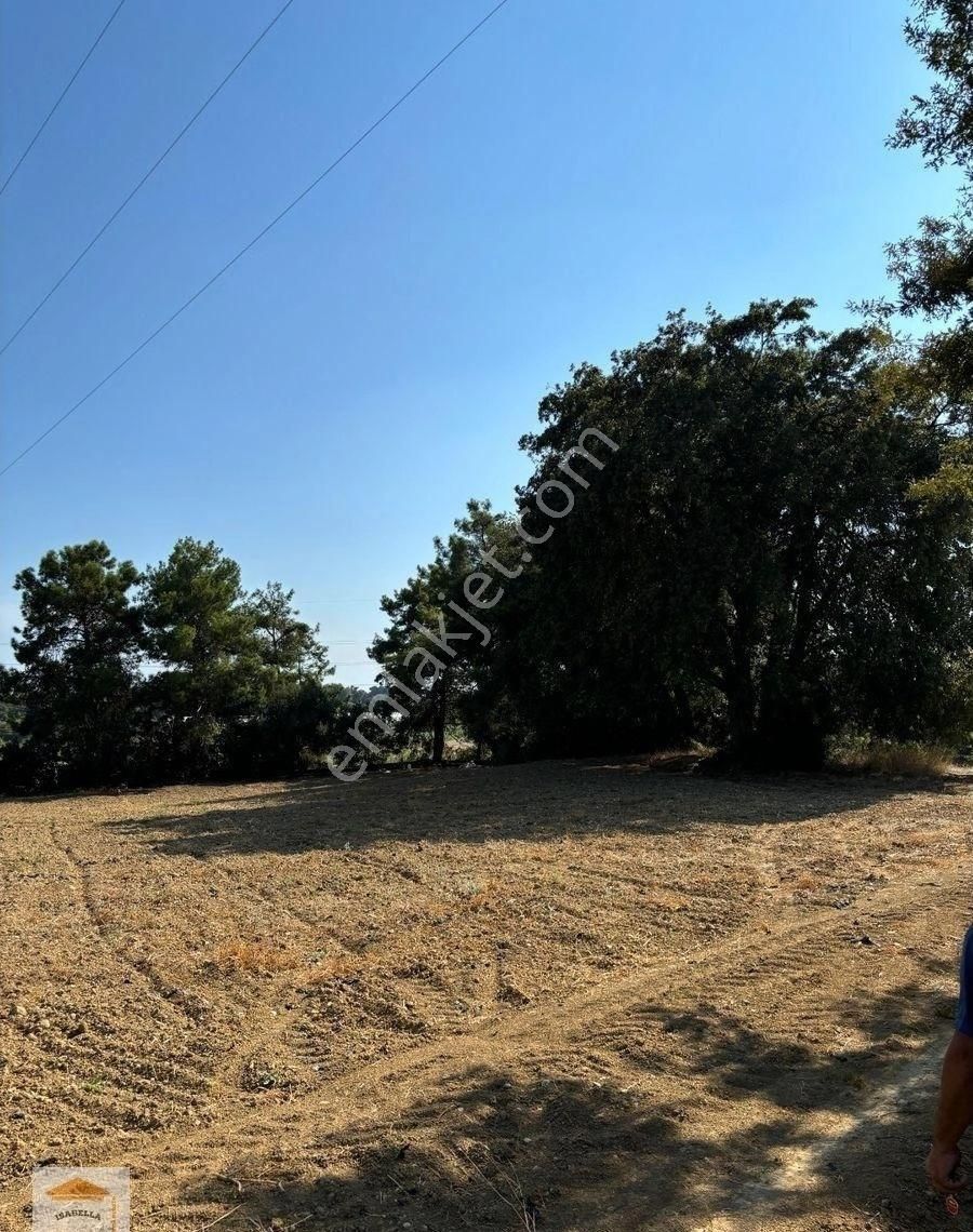 Bahçe, Sera Ve Çiftçilik İçin Uygun Tarla - Görsel 11