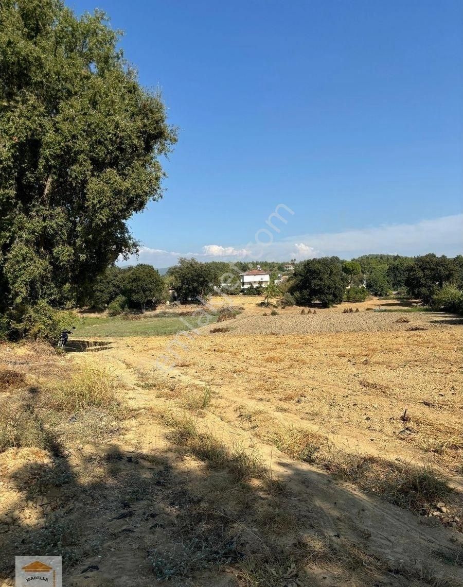 Bahçe, Sera Ve Çiftçilik İçin Uygun Tarla - Görsel 4