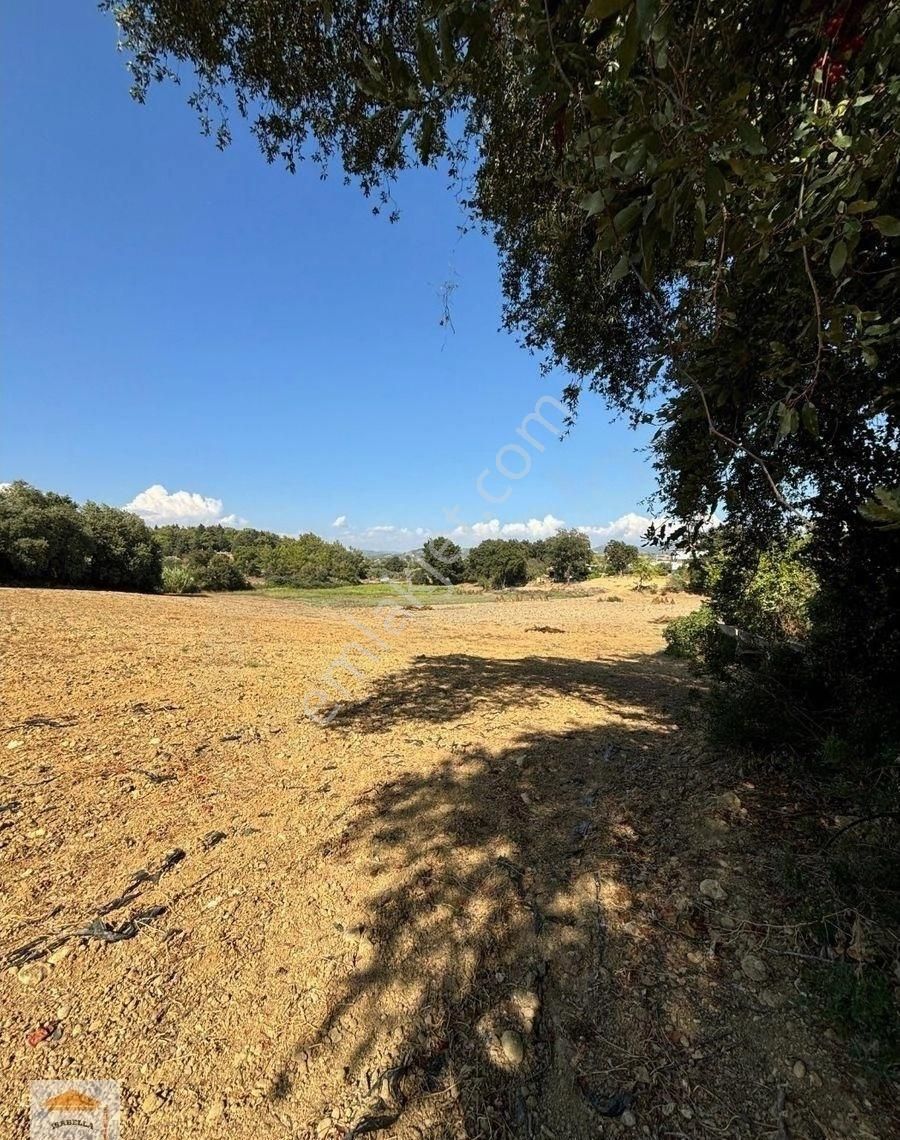 Bahçe, Sera Ve Çiftçilik İçin Uygun Tarla - Görsel 12