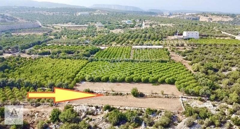 Erdemli Koyuncu Satılık Tarla Satılık Konut İmarlı Arsa Deniz Manzaralı