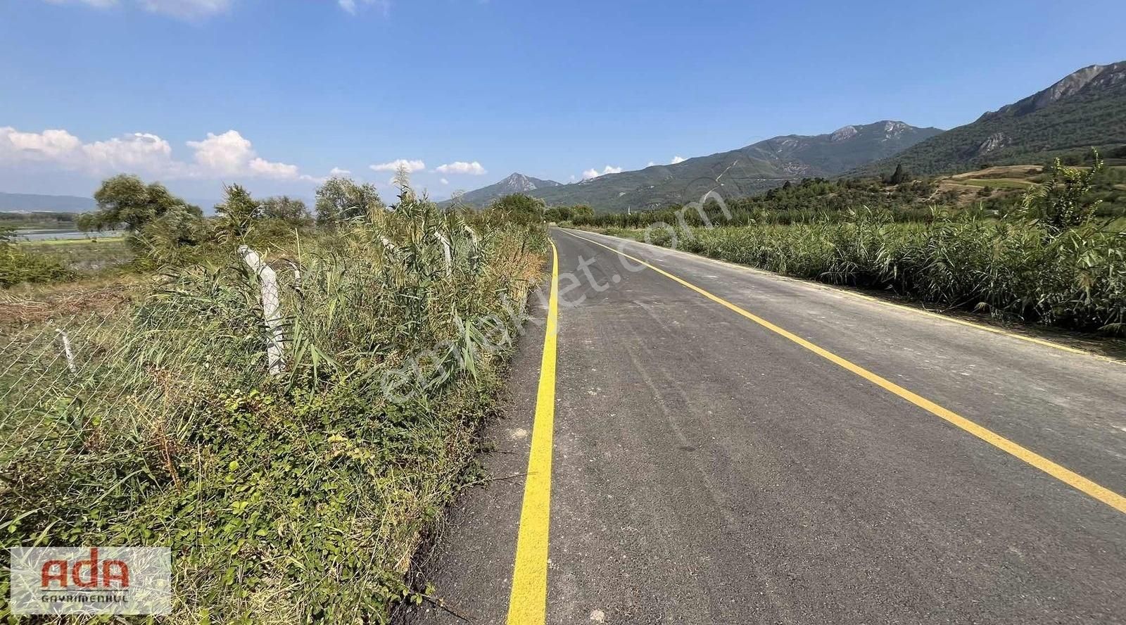 Geyve Kozan Satılık Tarla ADA GAYRİMENKULDEN KOZAN MAH. ASFALTA CEPHE SATILIK ARAZI