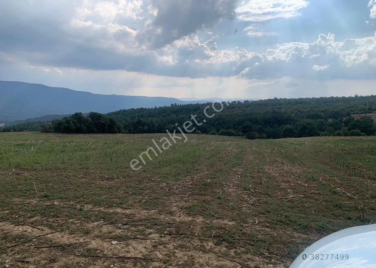 Göynük Kumcuk Köyü (Seki) Satılık Tarla BOLU GÖYNÜK SATILIK ARAZİ