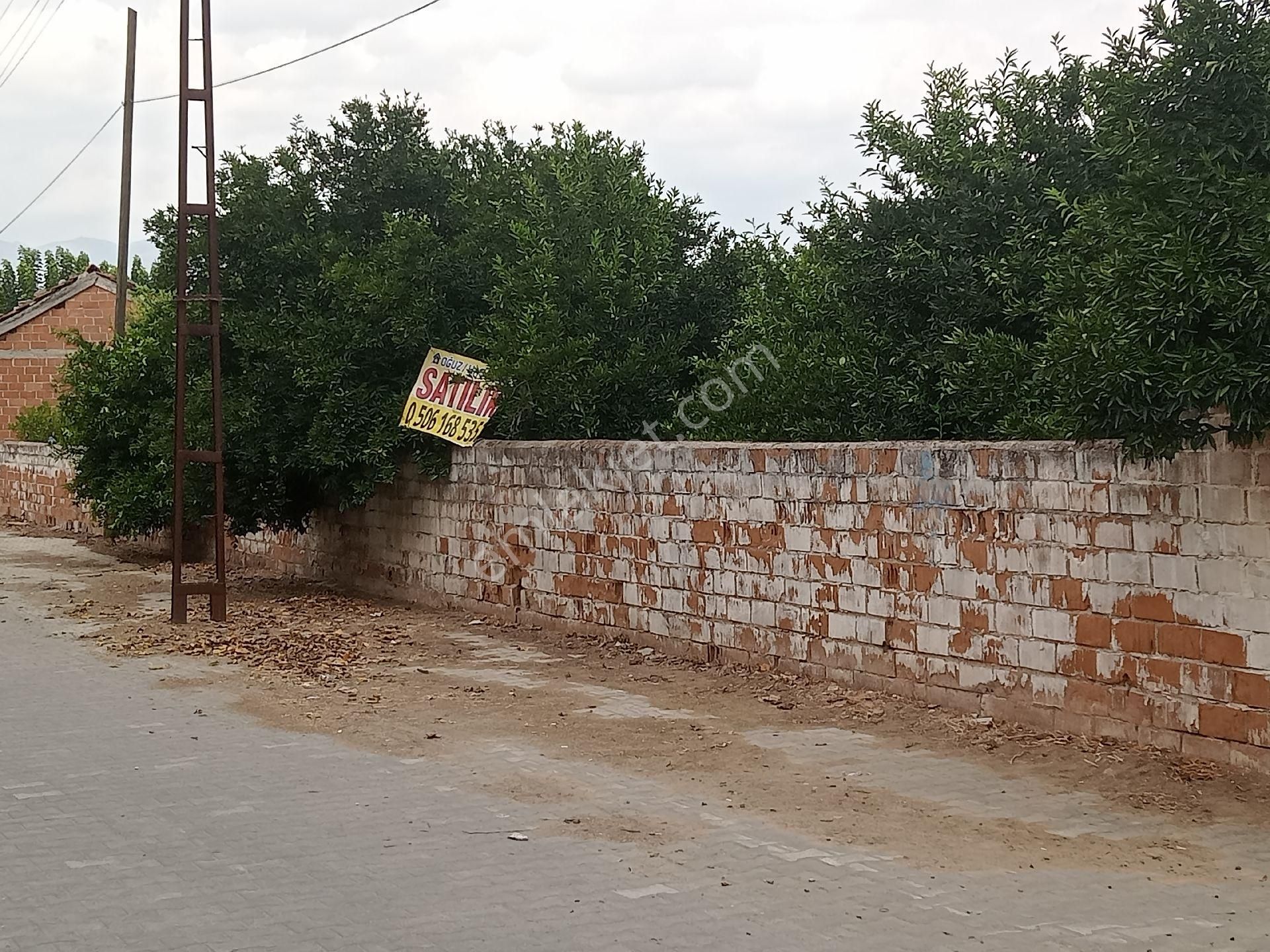 Yenipazar Hükümet Satılık Bağ & Bahçe Yenipazar Satilik İmarli Bahce