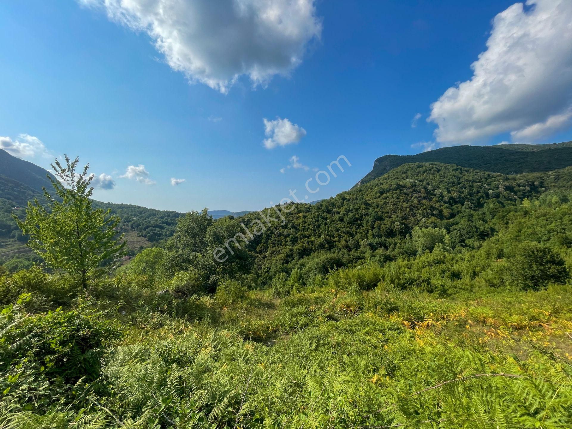 Amasra Esenler Köyü (Dada) Satılık Konut İmarlı  ÇEŞM-İ CİHAN (DÜNYANIN GÖZBEBEĞİ) AMASRA'DA KÖYİÇİ 500 m² İMARLI