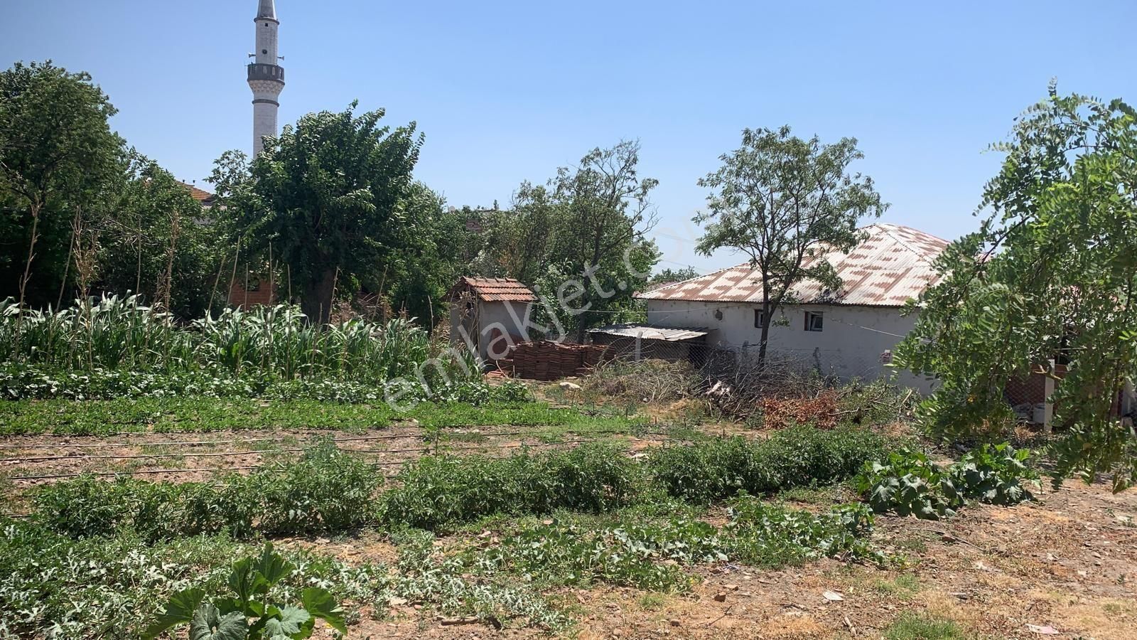 Adaköy De Satılik Müstakil Bahçeli Ev - Görsel 3