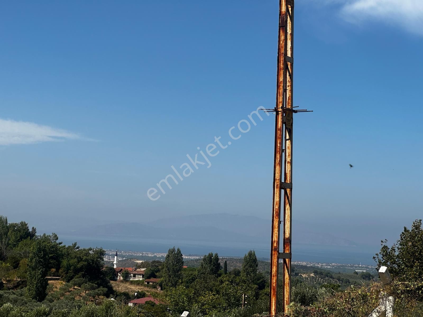 Söke Ağaçlı Satılık Tarla Ağaçlıda 11,000 M2 Deniz Manzaralı Elektirik Su Aktif