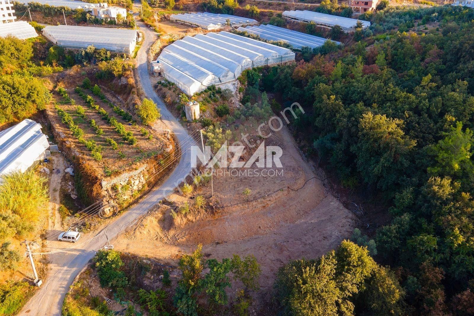 Alanya Toslak Satılık Tarla Alanya Toslak’ta Satılık 2.351 m² Tarla