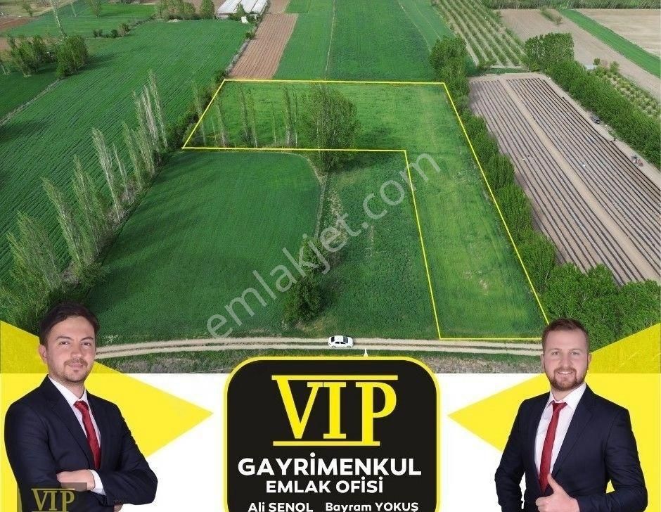 Elmalı Kışla Satılık Tarla VİP GAYRİMENKUL'den KIŞLA MAHALLESİNDE 6.700m² VERİMLİ TARLA