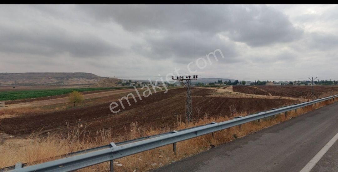 Şahinbey Kazıklı Satılık Tarla Hanedan Gyodan Kazıklıda Bağ Evlik Satılık Arazi