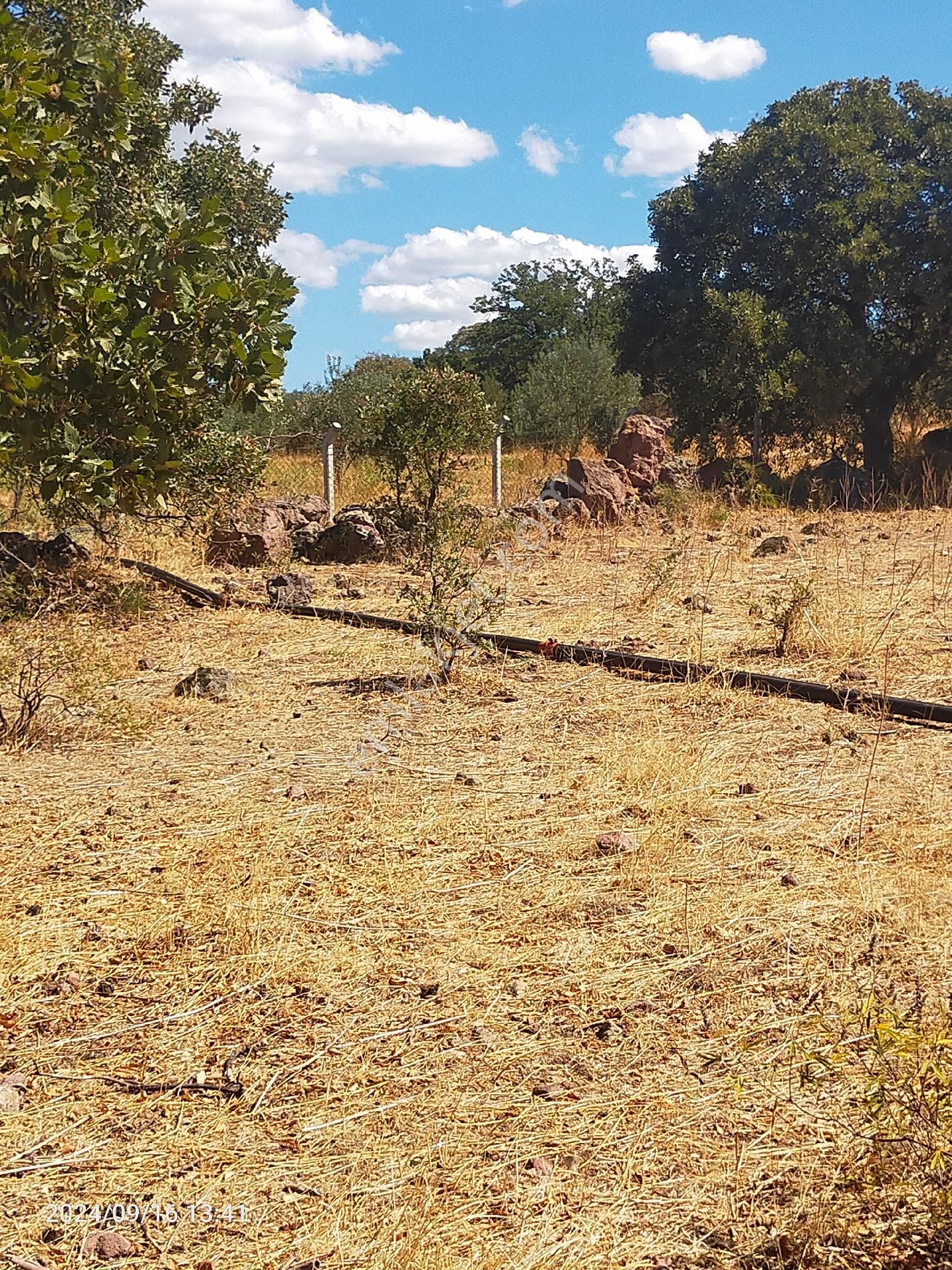 Saadet Korkmaz Emlak'tan Dikili Salihler'de Satılık Full Deniz Manzaralı Tarla - Görsel 28
