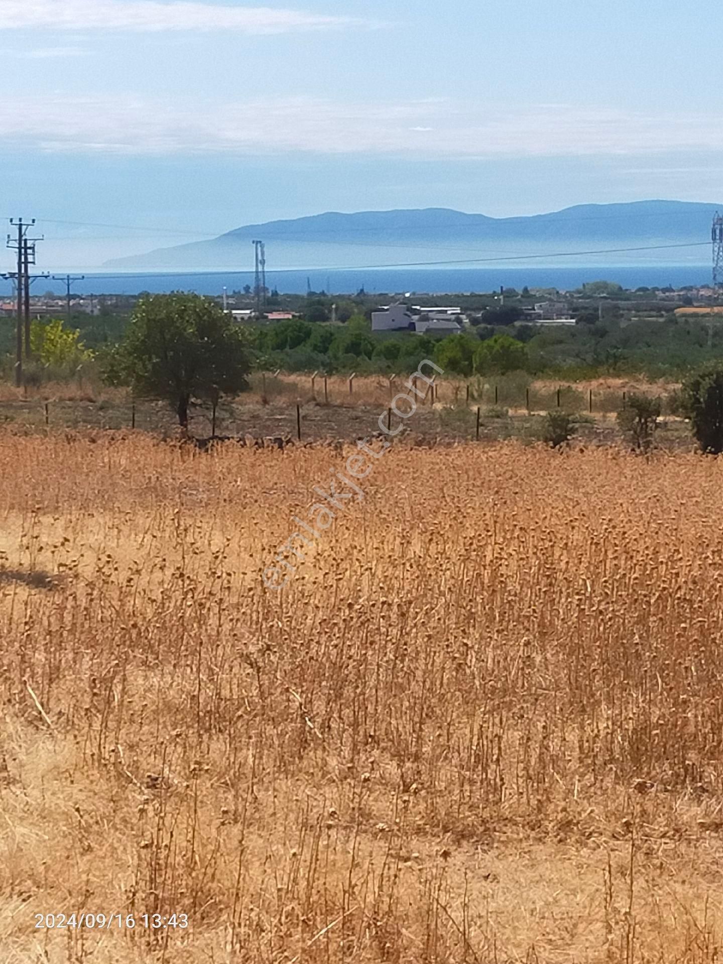 Saadet Korkmaz Emlak'tan Dikili Salihler'de Satılık Full Deniz Manzaralı Tarla - Görsel 5