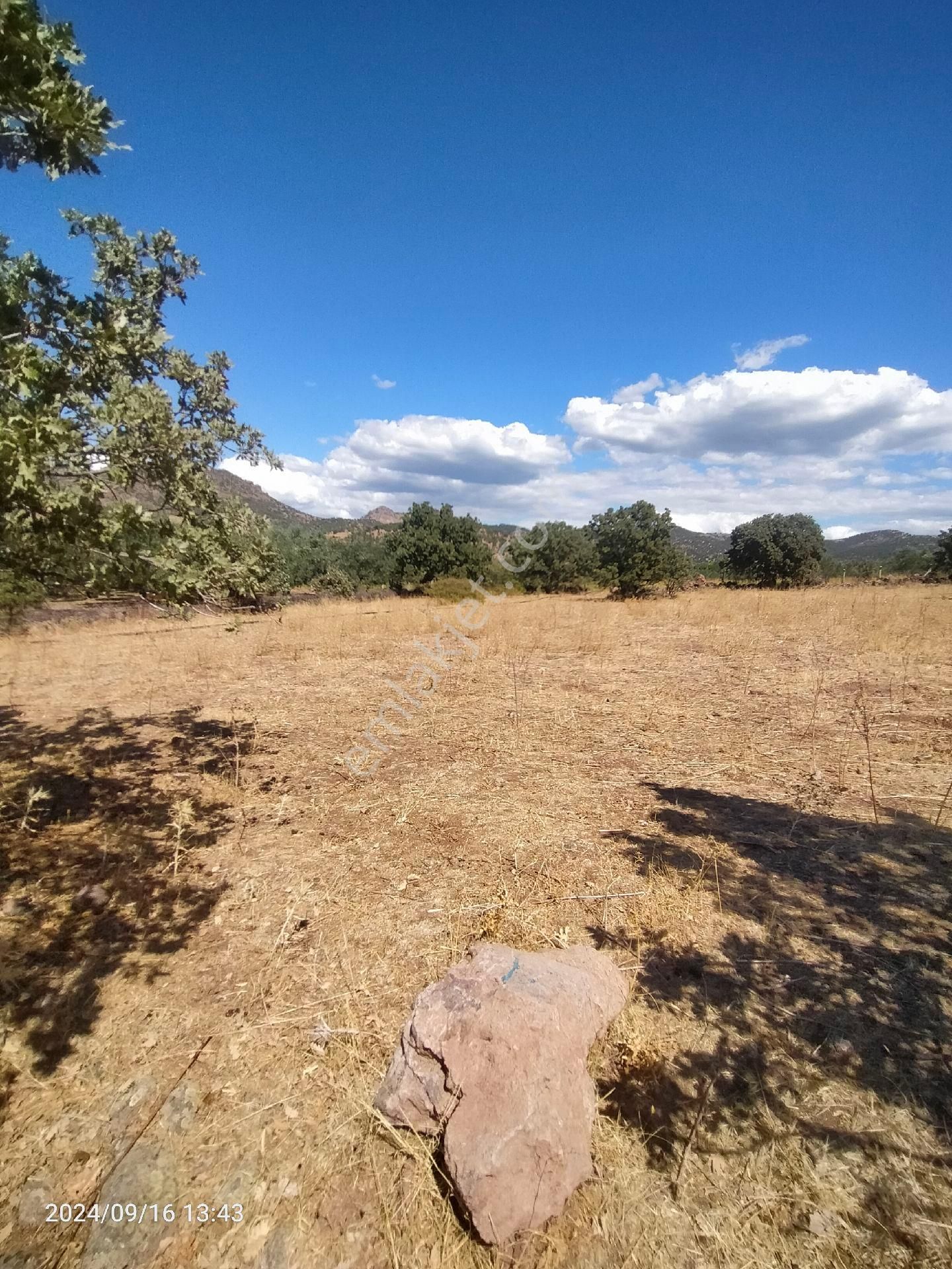 Saadet Korkmaz Emlak'tan Dikili Salihler'de Satılık Full Deniz Manzaralı Tarla - Görsel 9