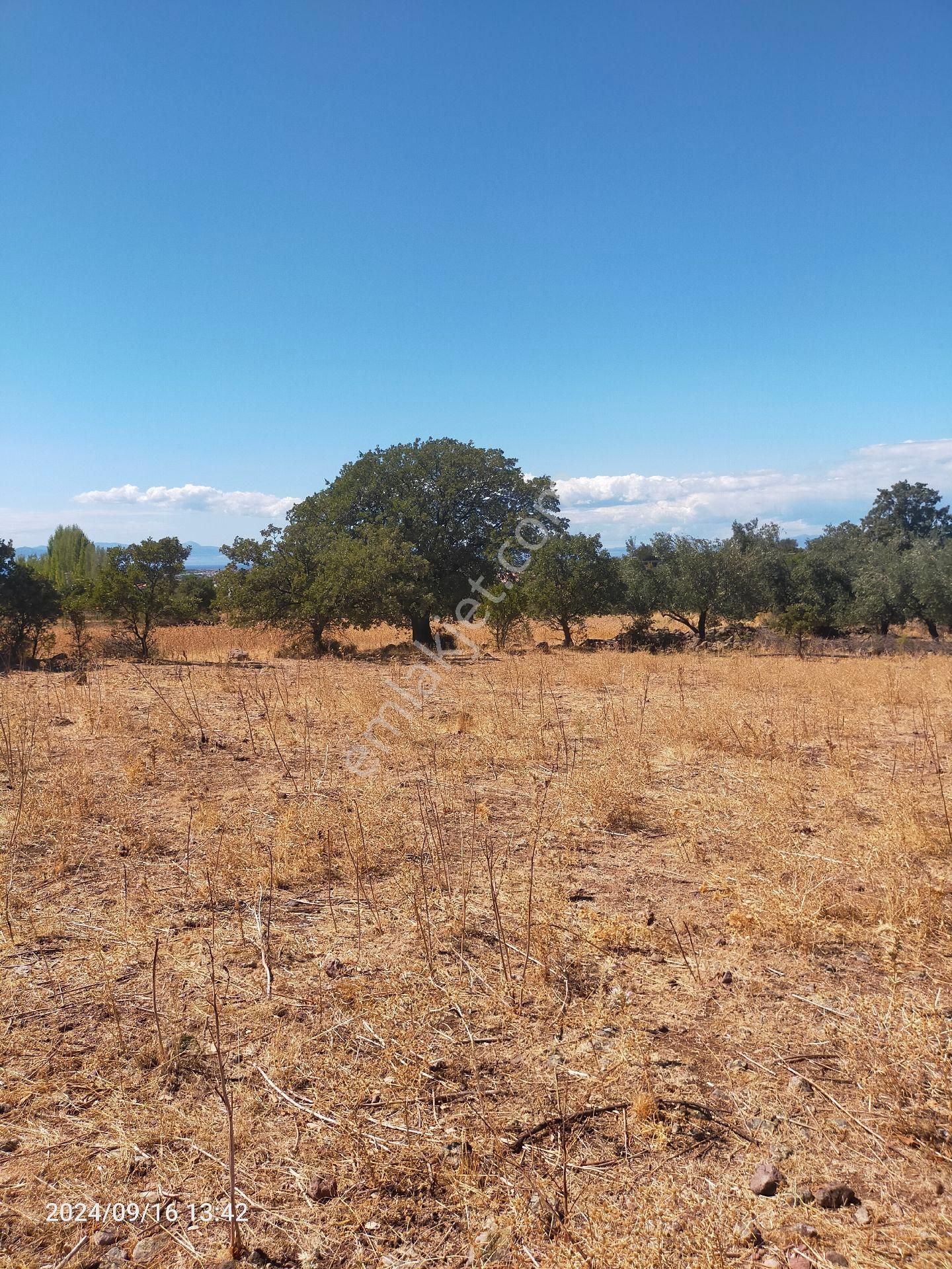Saadet Korkmaz Emlak'tan Dikili Salihler'de Satılık Full Deniz Manzaralı Tarla - Görsel 6