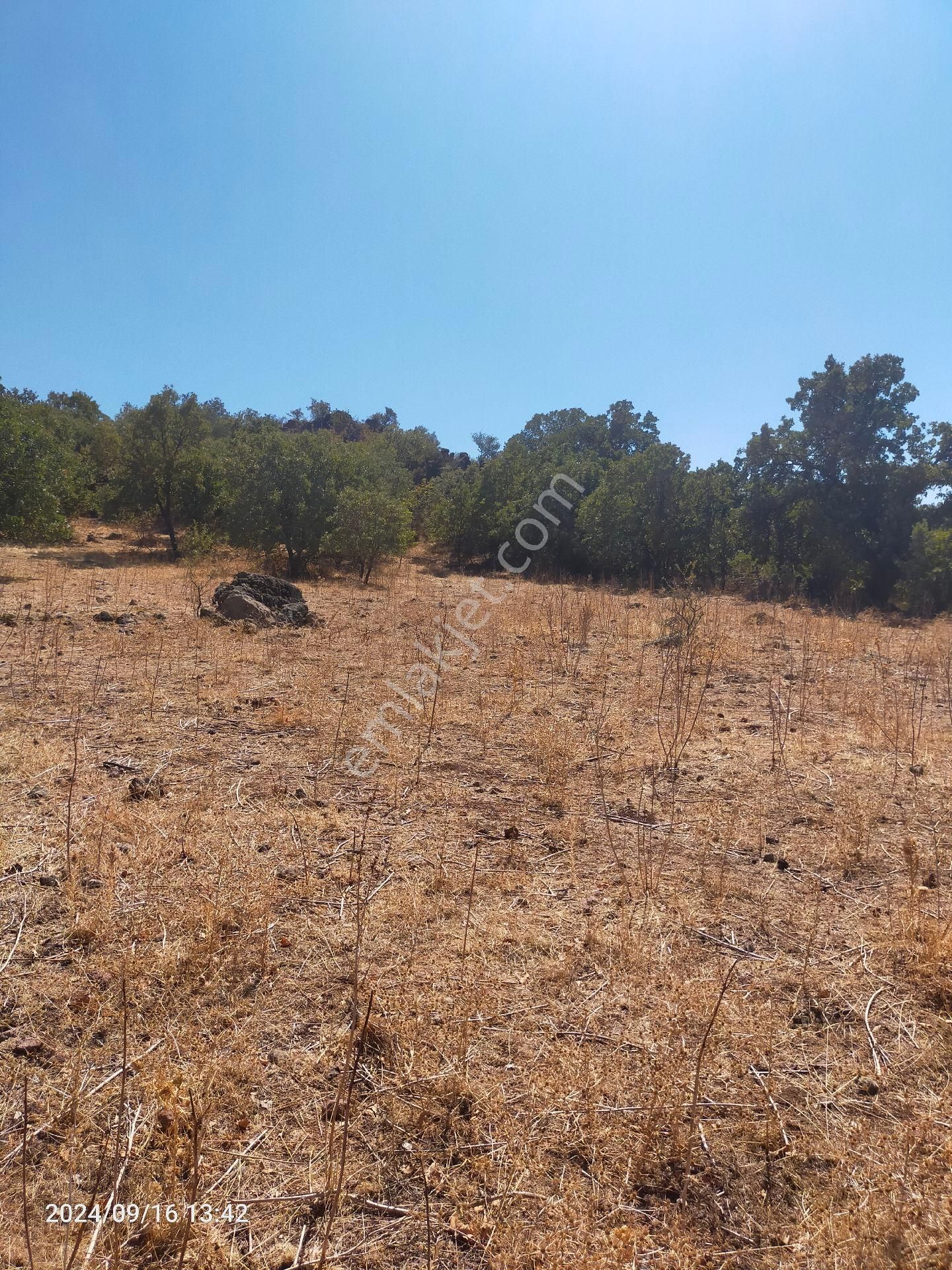 Saadet Korkmaz Emlak'tan Dikili Salihler'de Satılık Full Deniz Manzaralı Tarla - Görsel 11