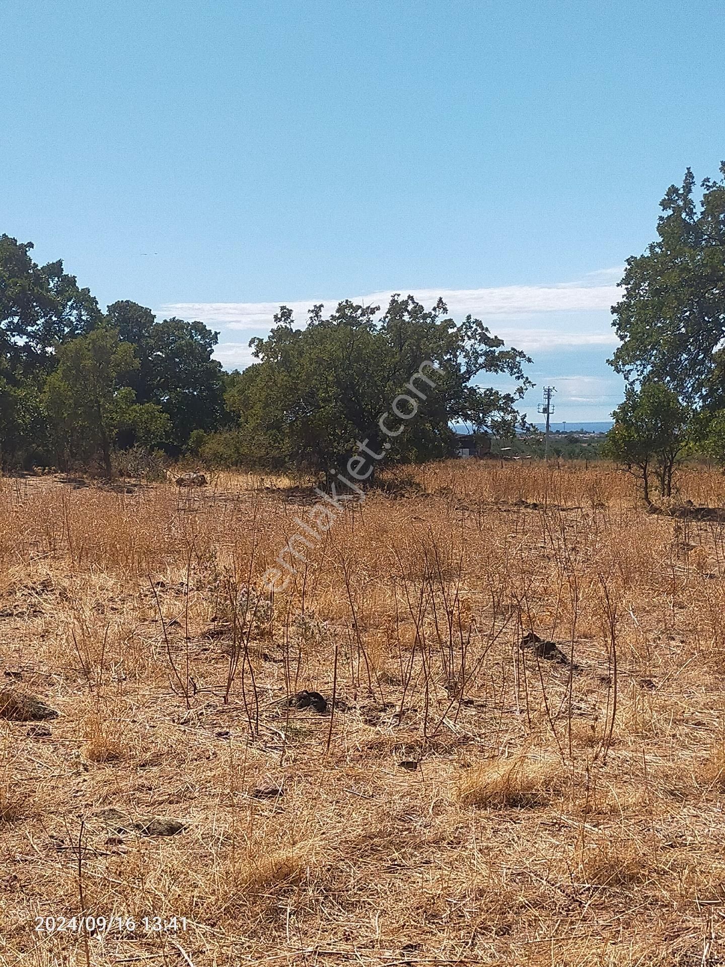 Saadet Korkmaz Emlak'tan Dikili Salihler'de Satılık Full Deniz Manzaralı Tarla - Görsel 24