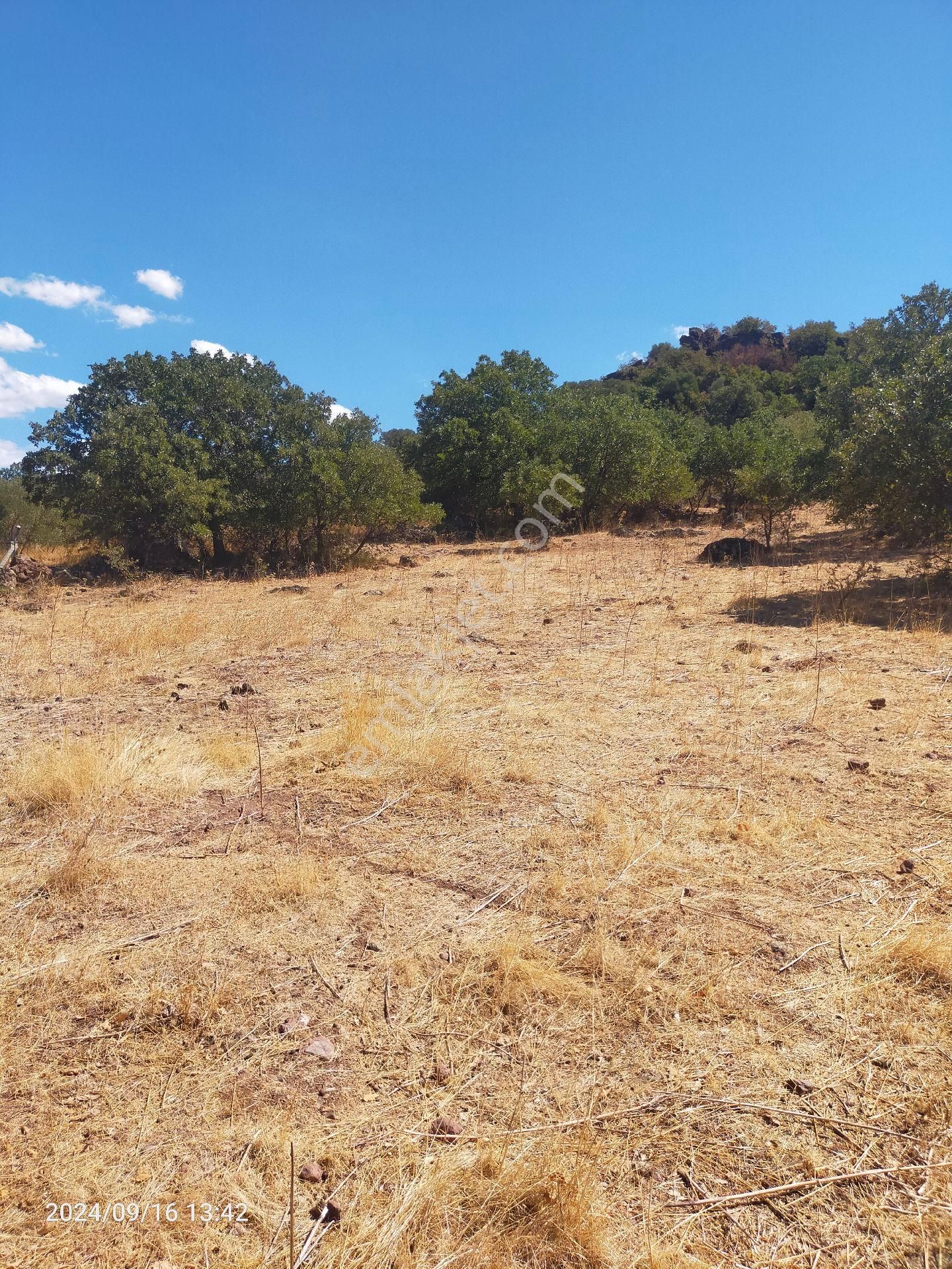 Saadet Korkmaz Emlak'tan Dikili Salihler'de Satılık Full Deniz Manzaralı Tarla - Görsel 18