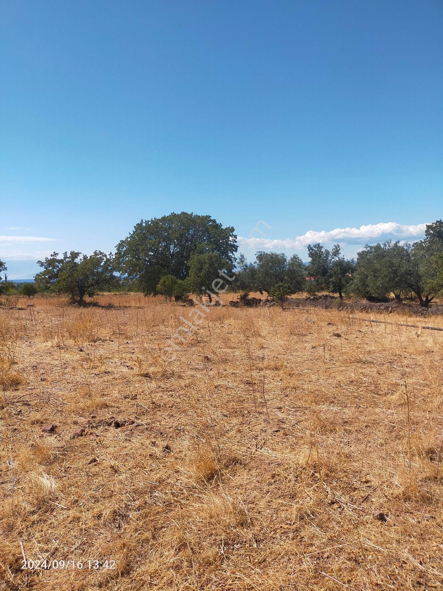 Saadet Korkmaz Emlak'tan Dikili Salihler'de Satılık Full Deniz Manzaralı Tarla - Görsel 14