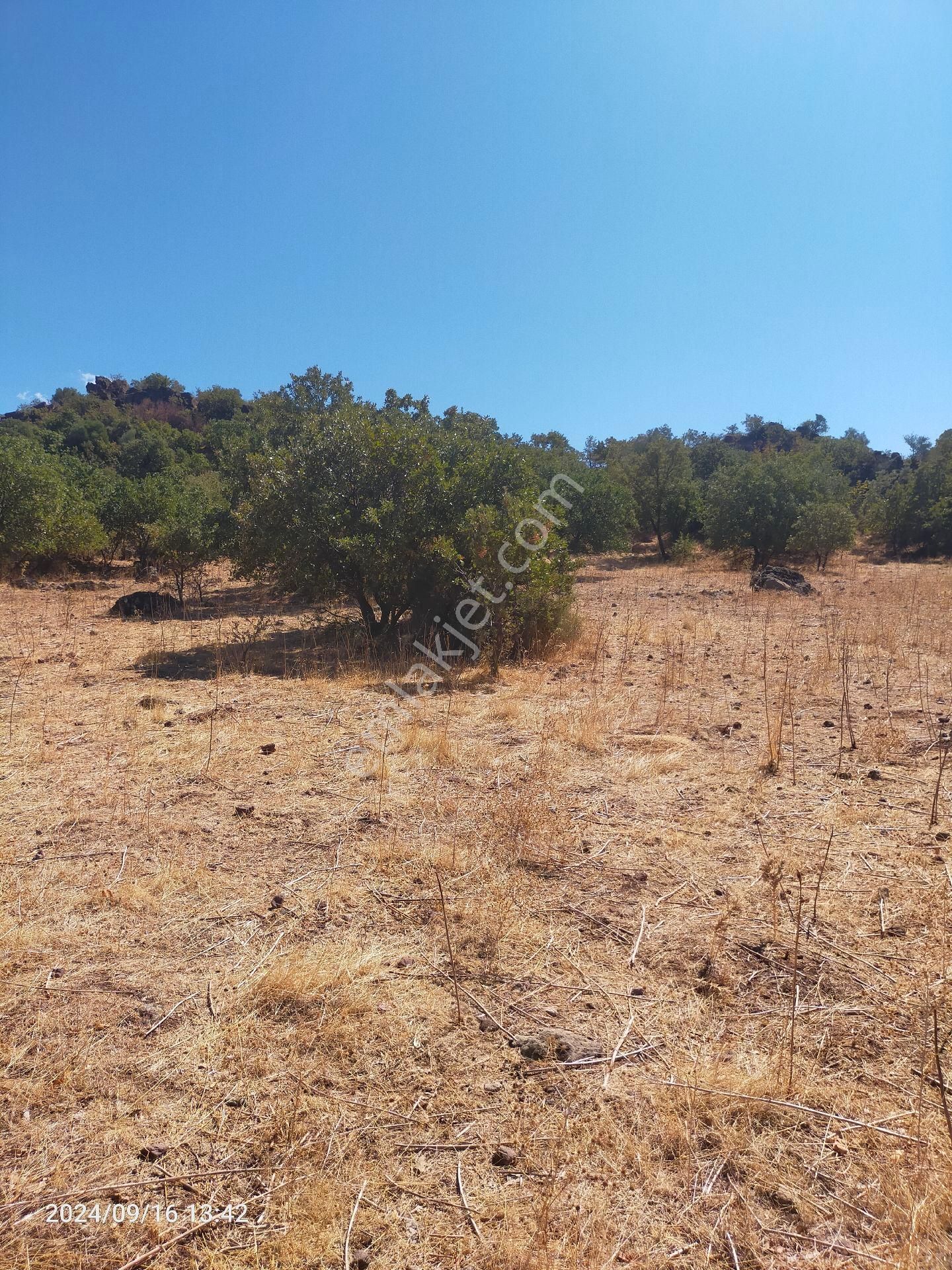 Saadet Korkmaz Emlak'tan Dikili Salihler'de Satılık Full Deniz Manzaralı Tarla - Görsel 17