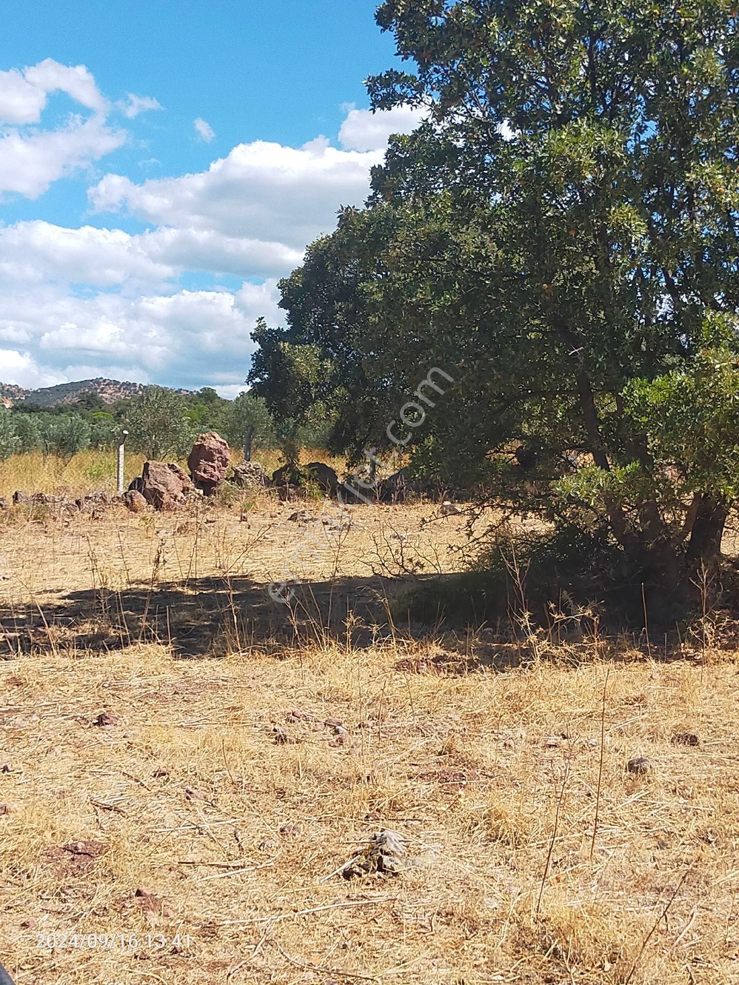 Saadet Korkmaz Emlak'tan Dikili Salihler'de Satılık Full Deniz Manzaralı Tarla - Görsel 21