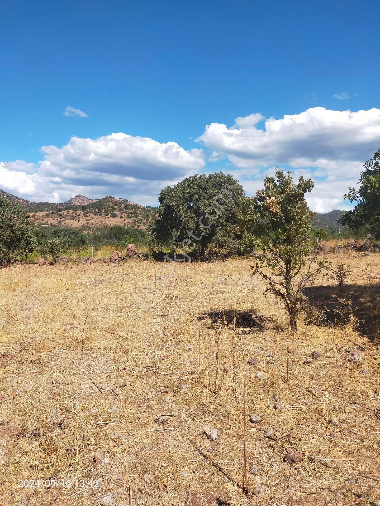 Saadet Korkmaz Emlak'tan Dikili Salihler'de Satılık Full Deniz Manzaralı Tarla - Görsel 10