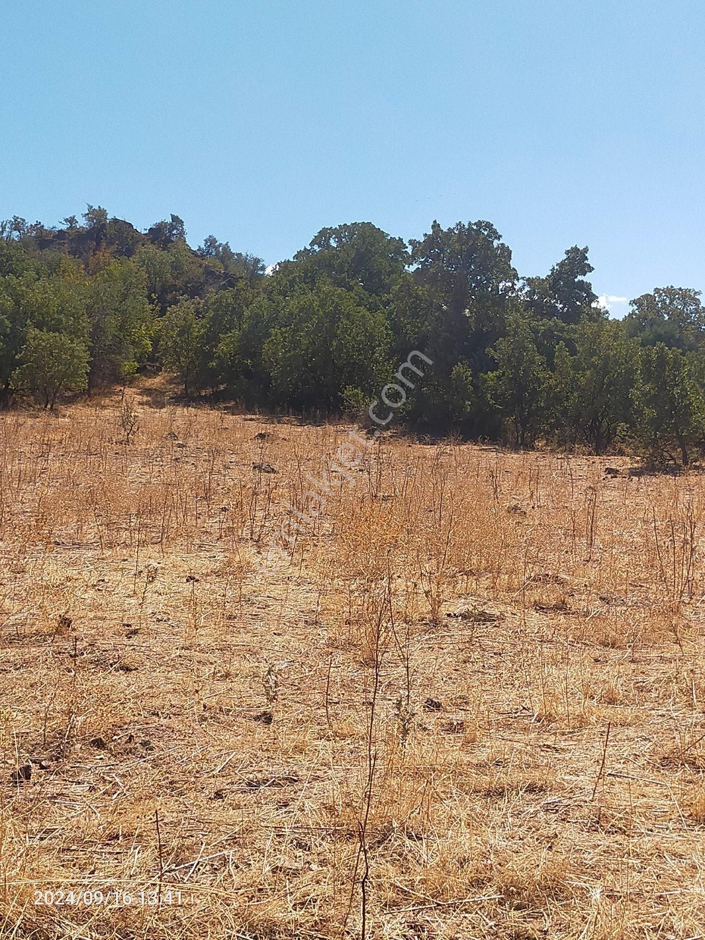 Saadet Korkmaz Emlak'tan Dikili Salihler'de Satılık Full Deniz Manzaralı Tarla - Görsel 23