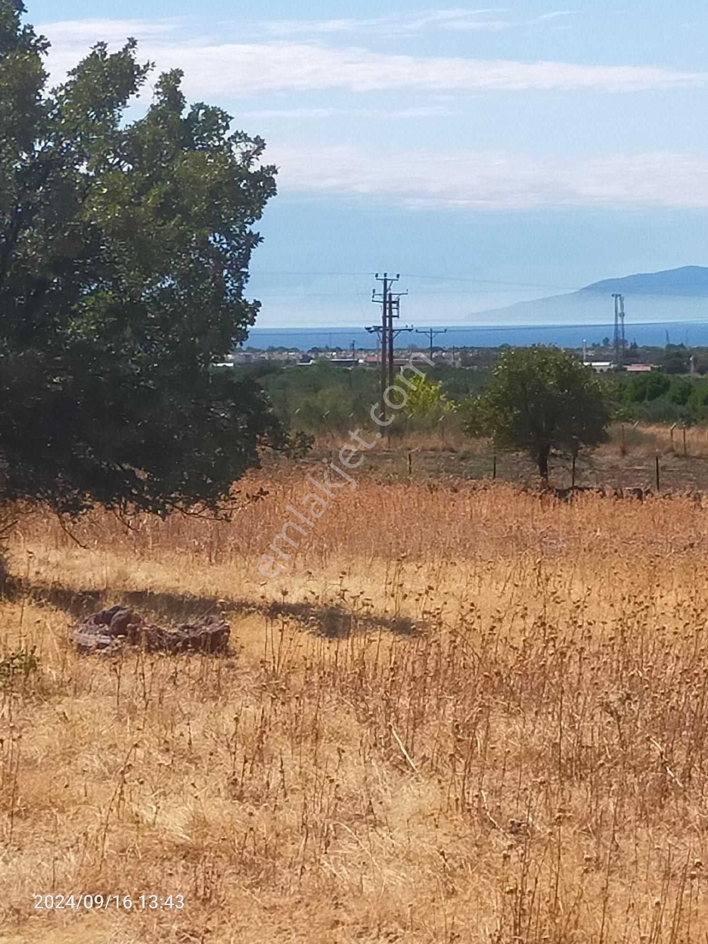 Saadet Korkmaz Emlak'tan Dikili Salihler'de Satılık Full Deniz Manzaralı Tarla - Görsel 4