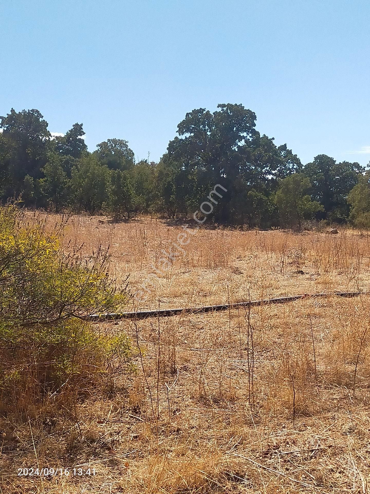 Saadet Korkmaz Emlak'tan Dikili Salihler'de Satılık Full Deniz Manzaralı Tarla - Görsel 26
