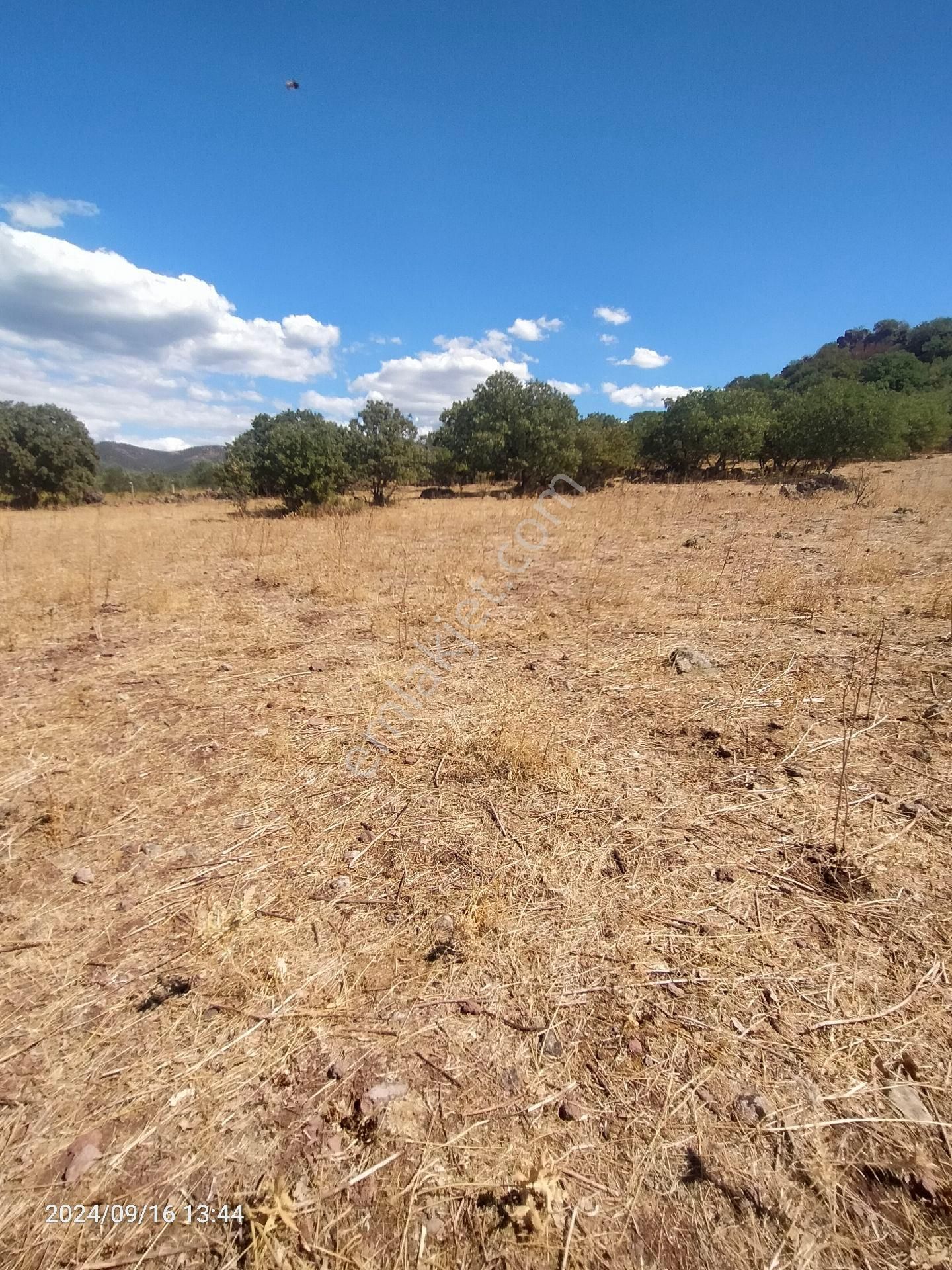 Saadet Korkmaz Emlak'tan Dikili Salihler'de Satılık Full Deniz Manzaralı Tarla - Görsel 7