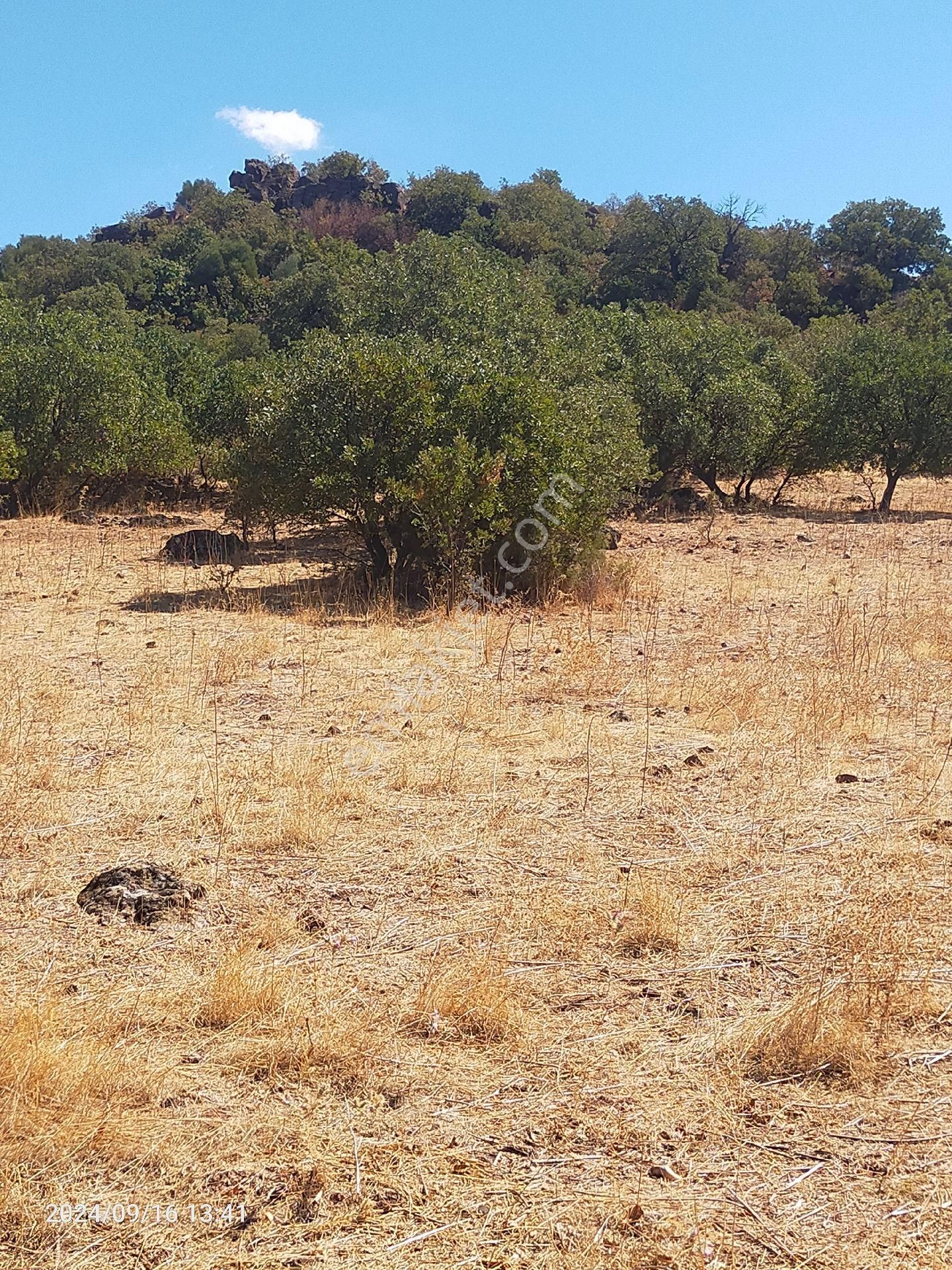Saadet Korkmaz Emlak'tan Dikili Salihler'de Satılık Full Deniz Manzaralı Tarla - Görsel 22