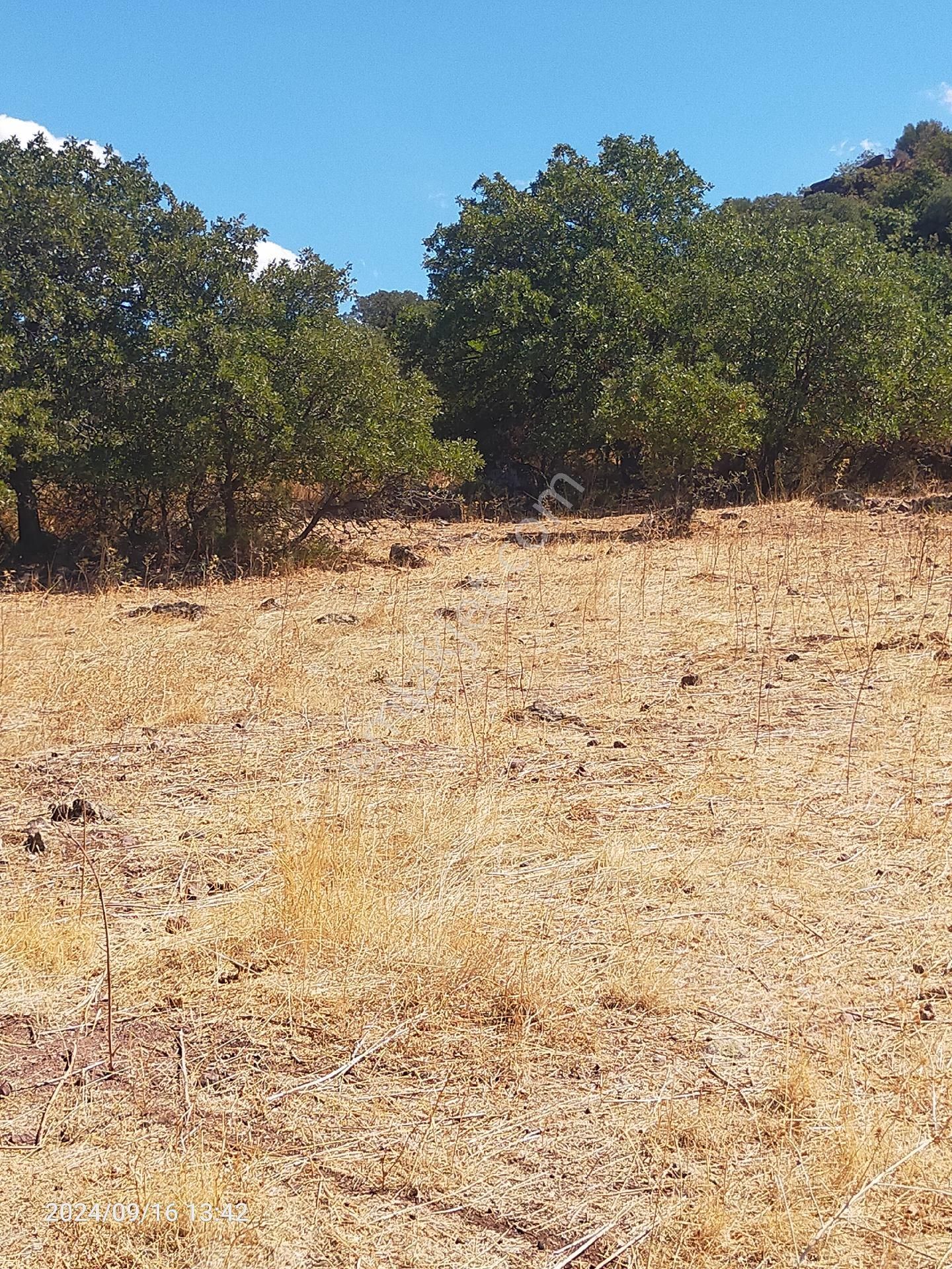 Saadet Korkmaz Emlak'tan Dikili Salihler'de Satılık Full Deniz Manzaralı Tarla - Görsel 19