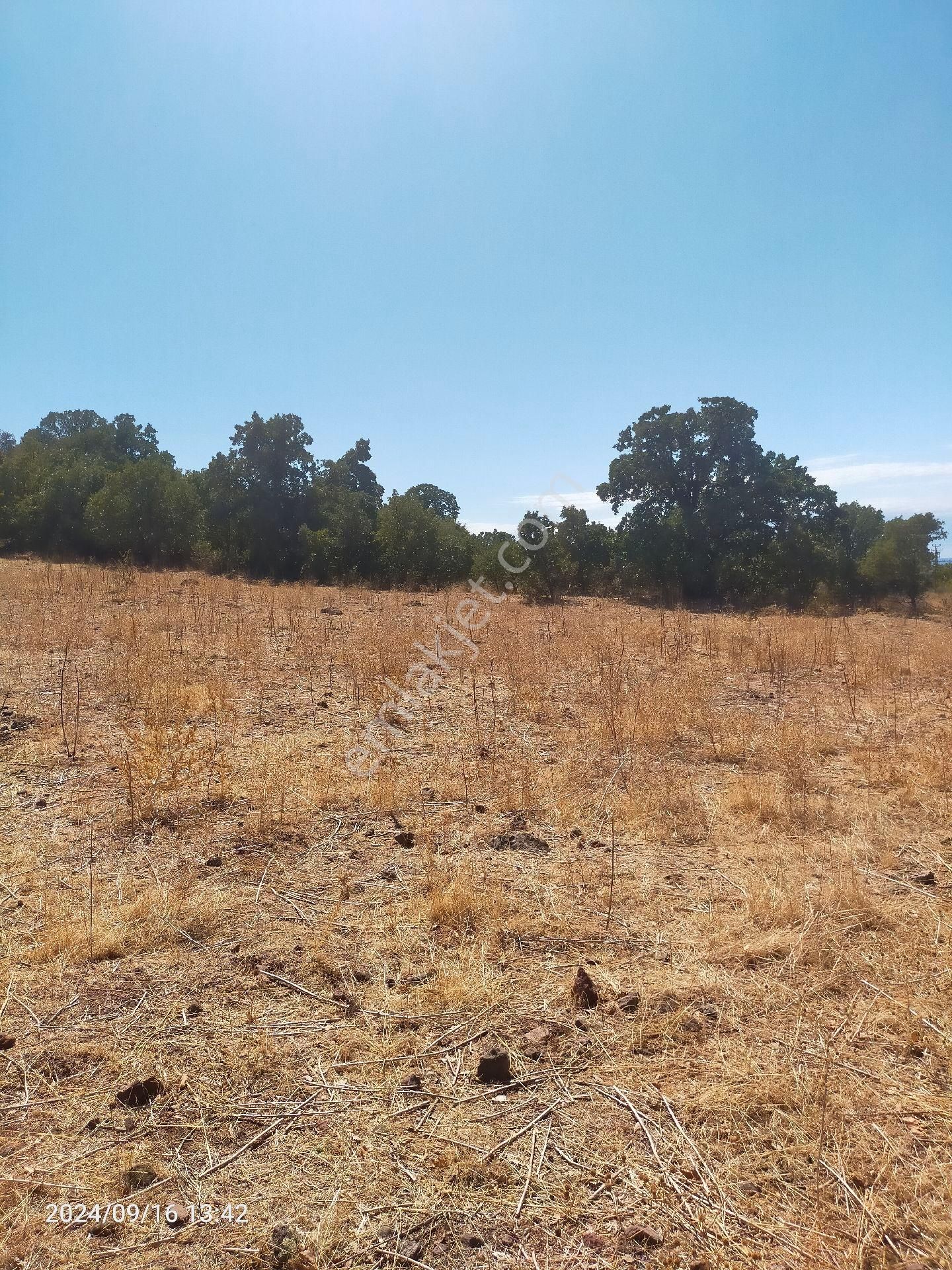 Saadet Korkmaz Emlak'tan Dikili Salihler'de Satılık Full Deniz Manzaralı Tarla - Görsel 15