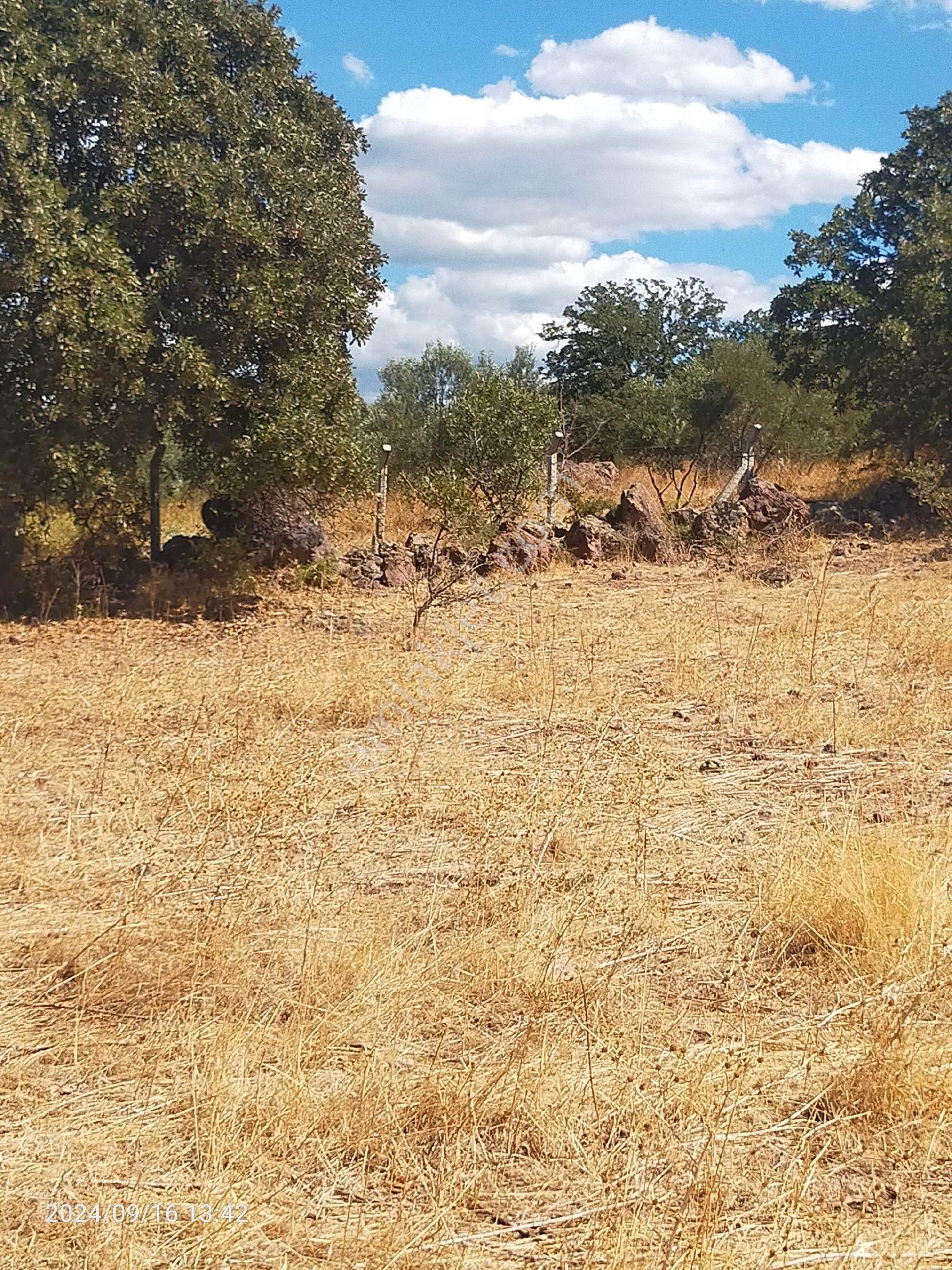 Saadet Korkmaz Emlak'tan Dikili Salihler'de Satılık Full Deniz Manzaralı Tarla - Görsel 20