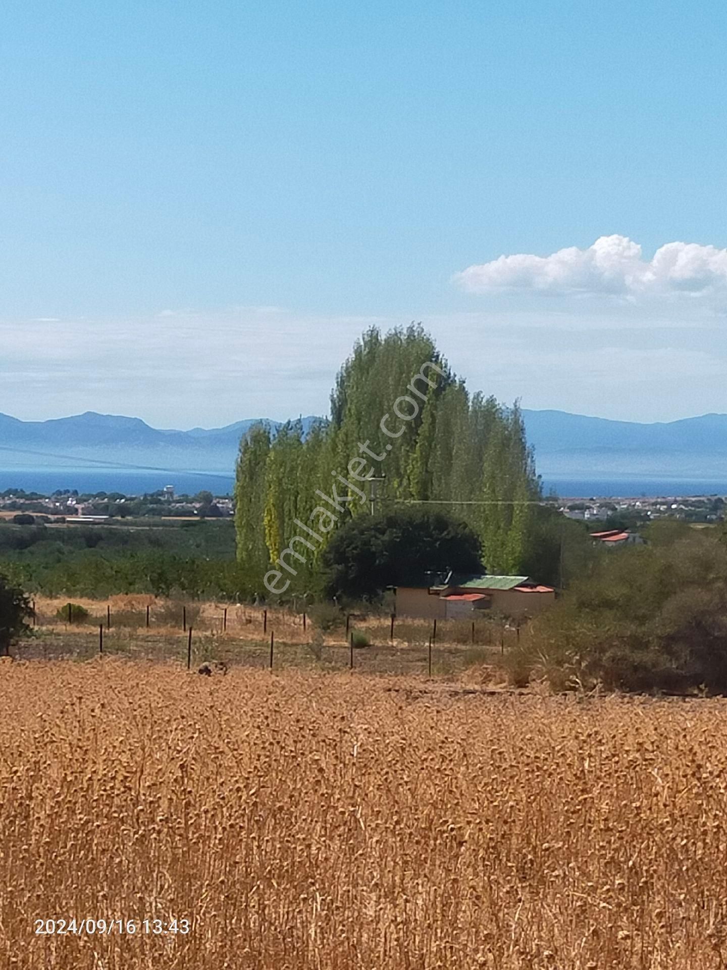 Saadet Korkmaz Emlak'tan Dikili Salihler'de Satılık Full Deniz Manzaralı Tarla - Görsel 2