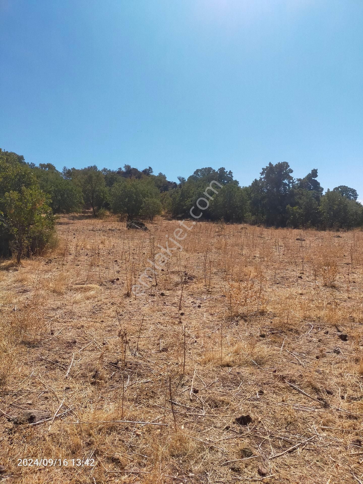 Saadet Korkmaz Emlak'tan Dikili Salihler'de Satılık Full Deniz Manzaralı Tarla - Görsel 16