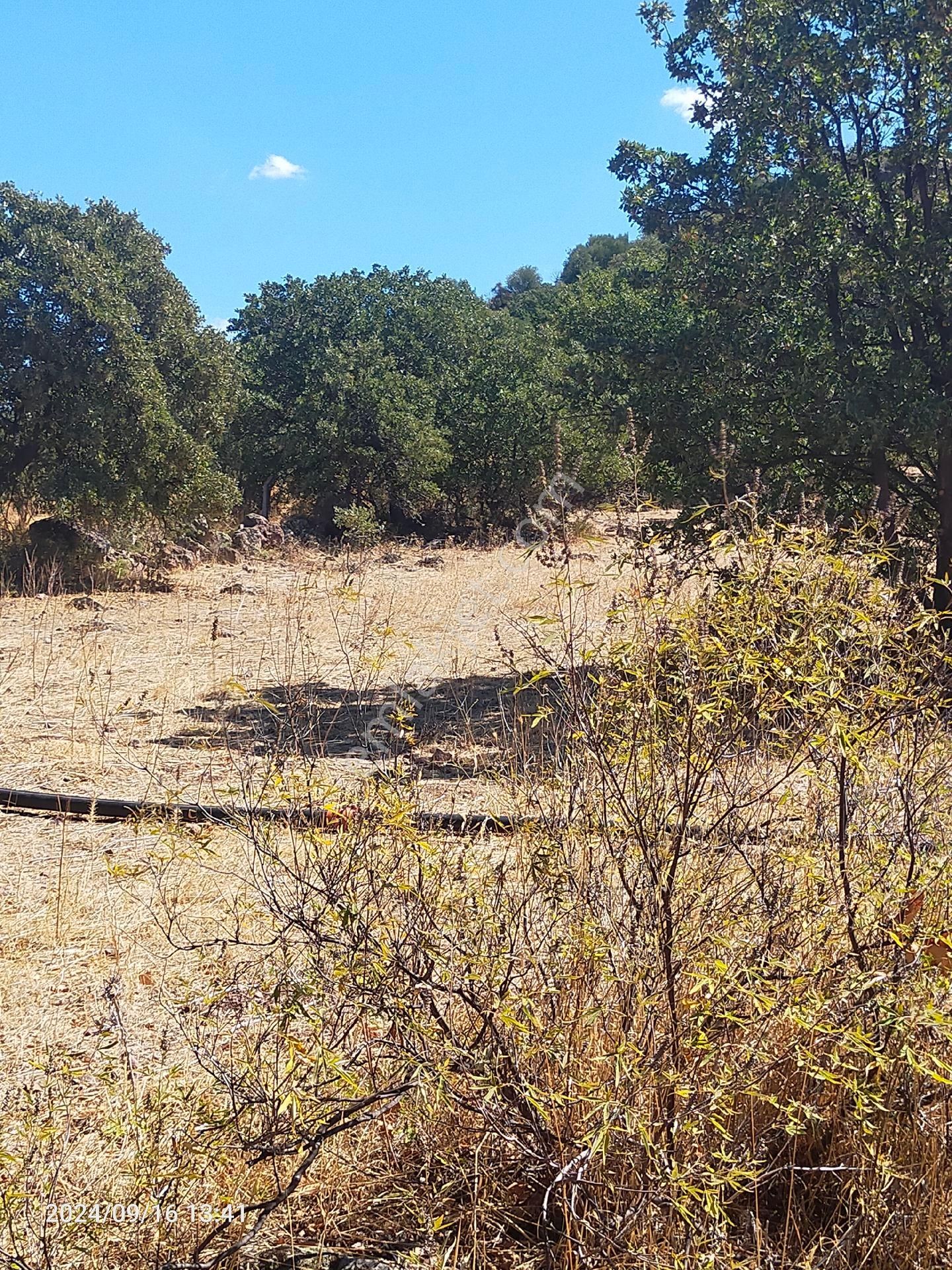 Saadet Korkmaz Emlak'tan Dikili Salihler'de Satılık Full Deniz Manzaralı Tarla - Görsel 27