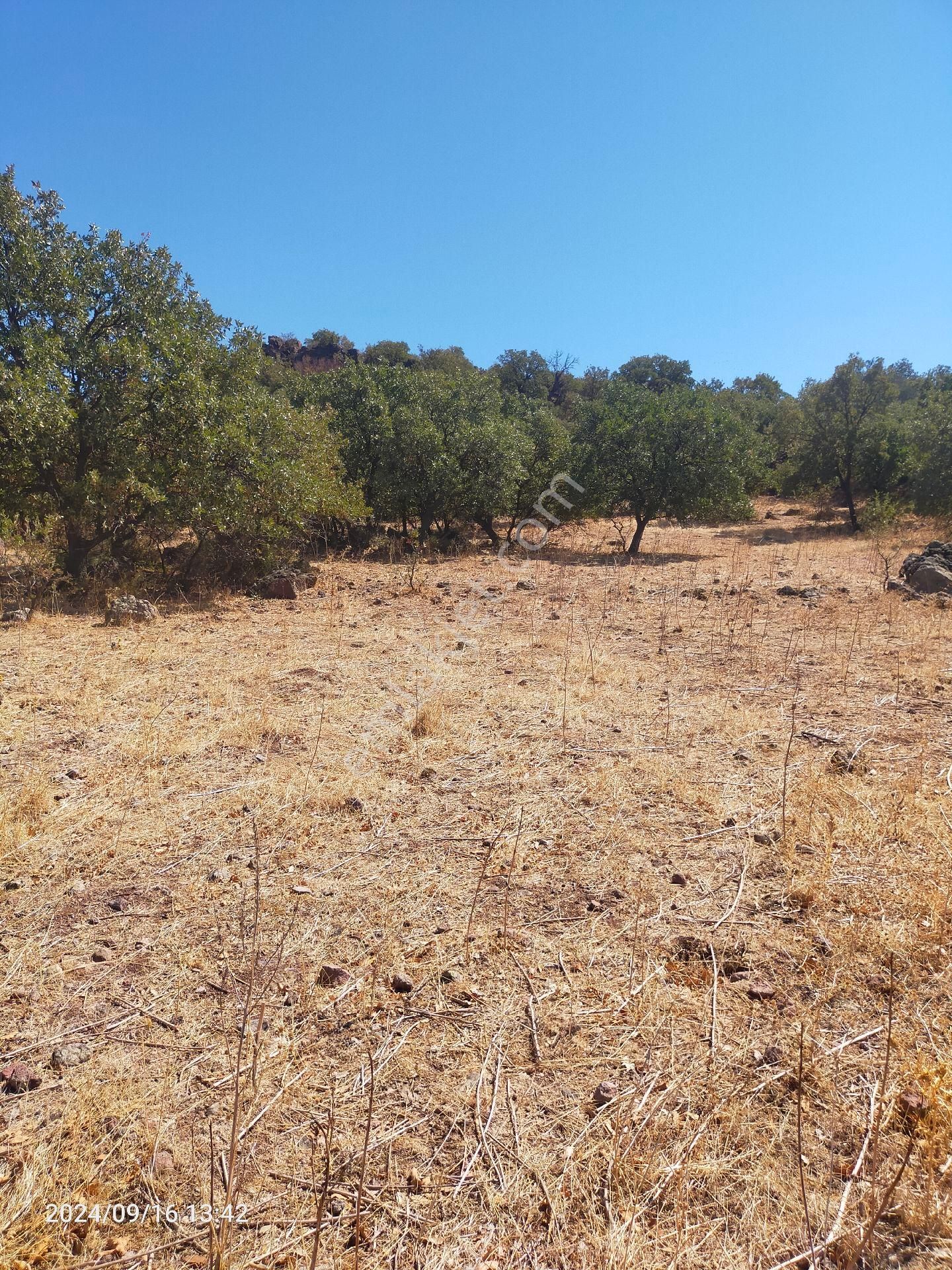 Saadet Korkmaz Emlak'tan Dikili Salihler'de Satılık Full Deniz Manzaralı Tarla - Görsel 12