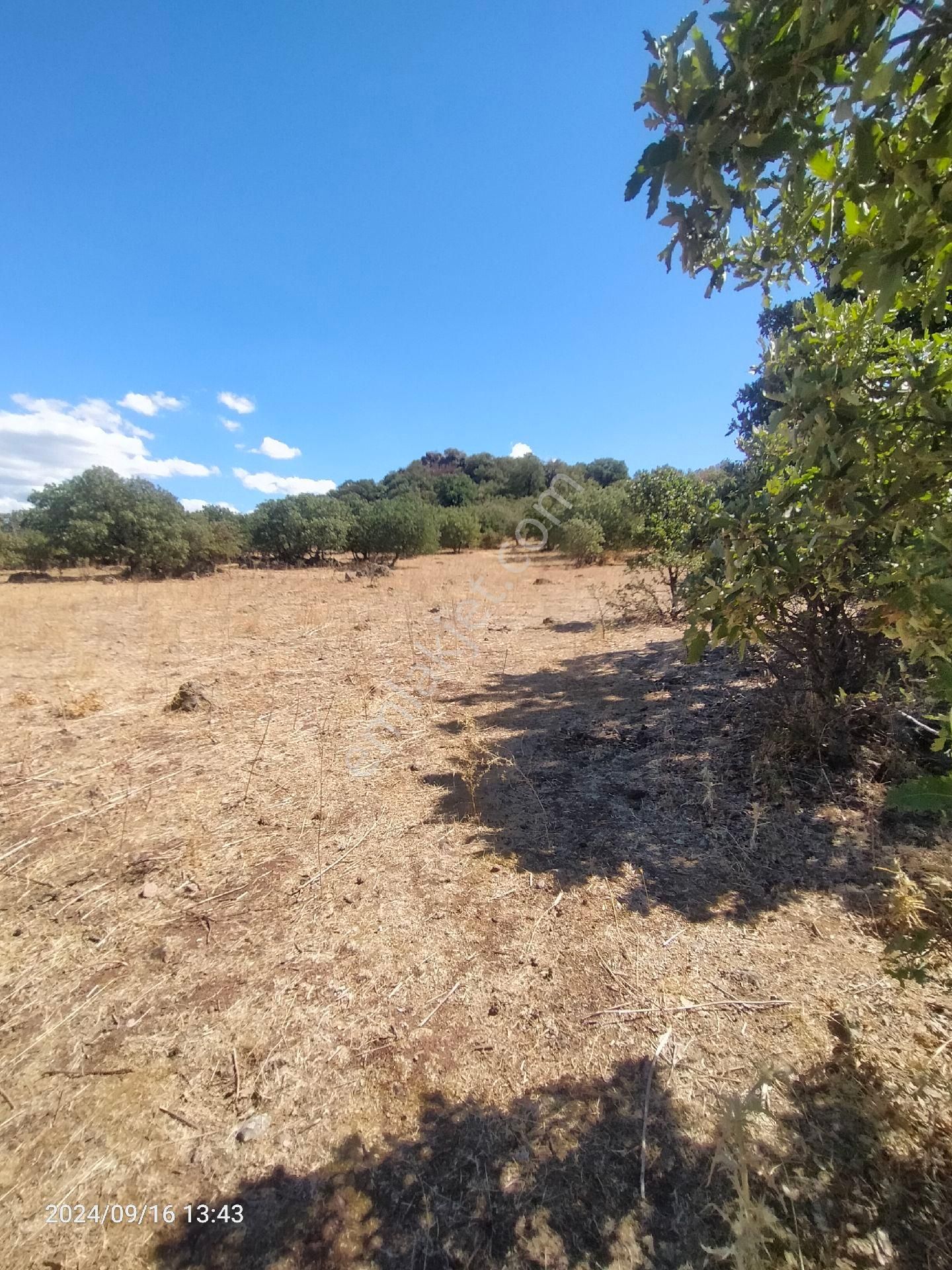 Saadet Korkmaz Emlak'tan Dikili Salihler'de Satılık Full Deniz Manzaralı Tarla - Görsel 8