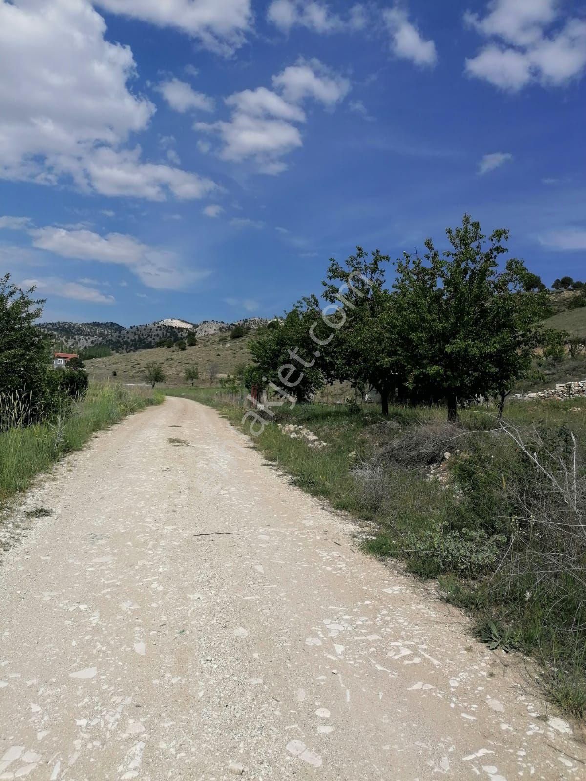 Korkuteli Yeleme Satılık Tarla Antalya korkuteli yeleme satılık yola cephe tarla