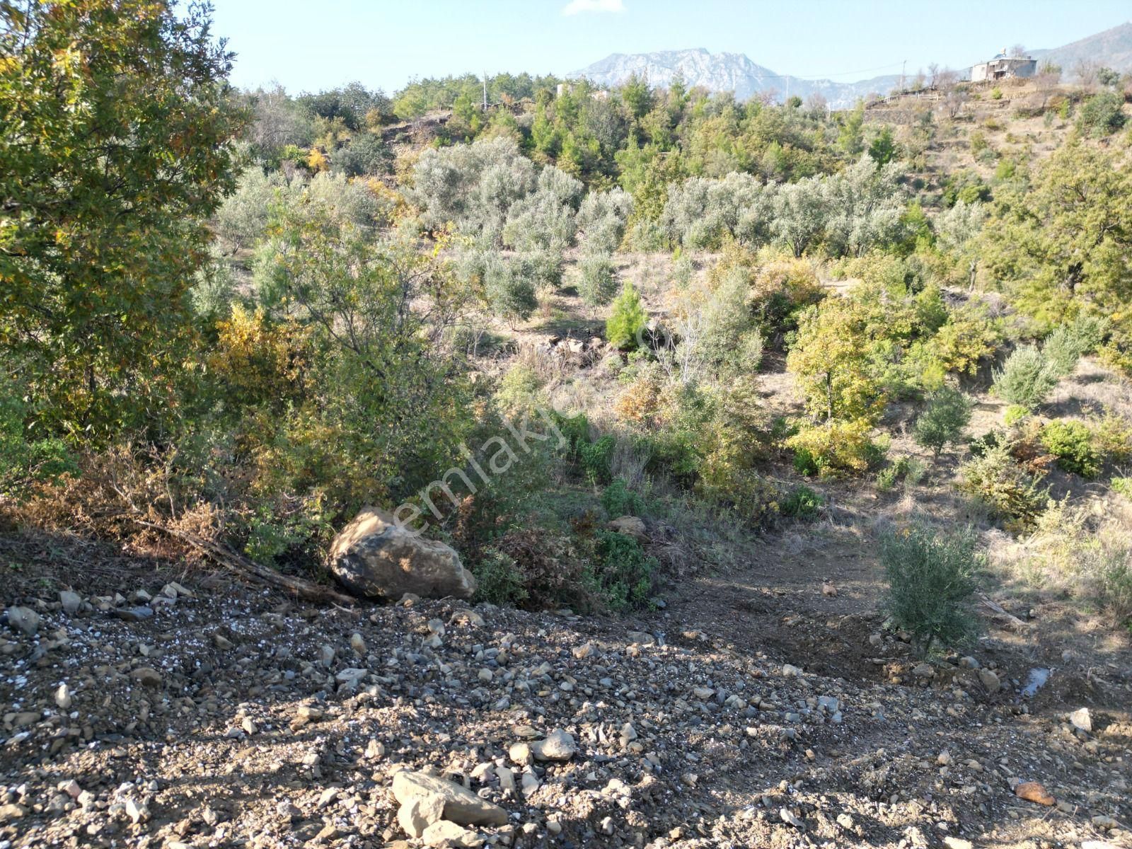 400 M2 Satılık Fırsat Tarla - Görsel 8