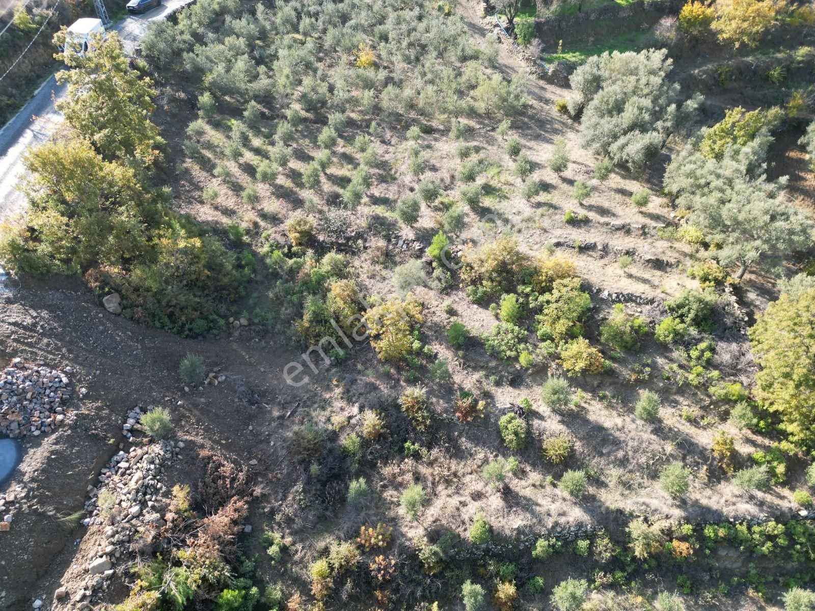400 M2 Satılık Fırsat Tarla - Görsel 4
