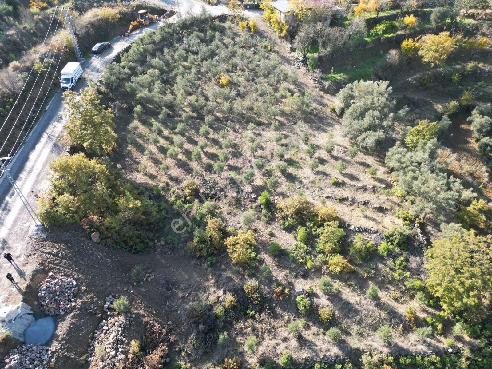 Alanya Fakırcalı Satılık Tarla 400 M2 Satılık Fırsat Tarla