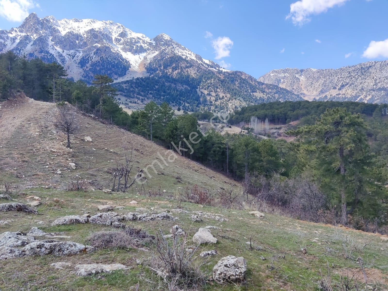 Onikişubat Tekir Satılık Tarla  Fırsat Harika Konumda Manzaralı Villa Arsası