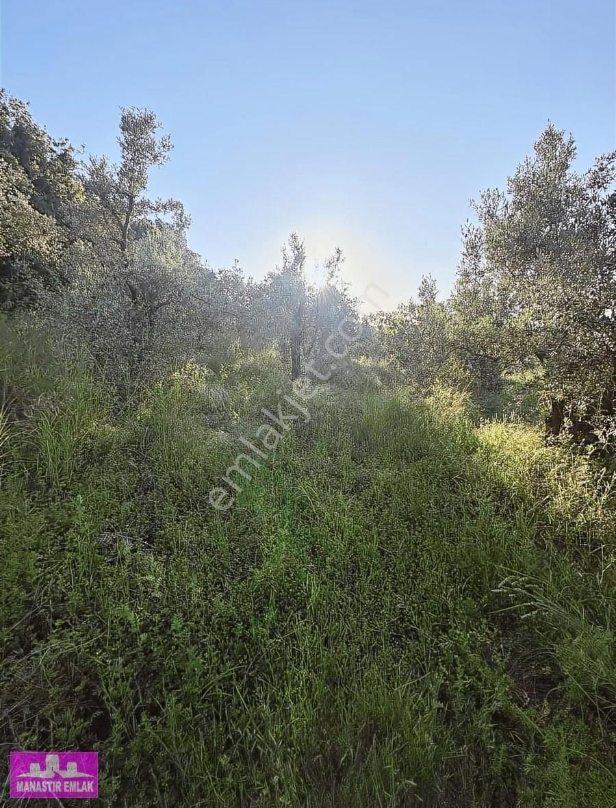 Manastır Emlak'tan Deniz Manz. İmarlı 1.266 M2 Arsa 13.250.000 - Görsel 10