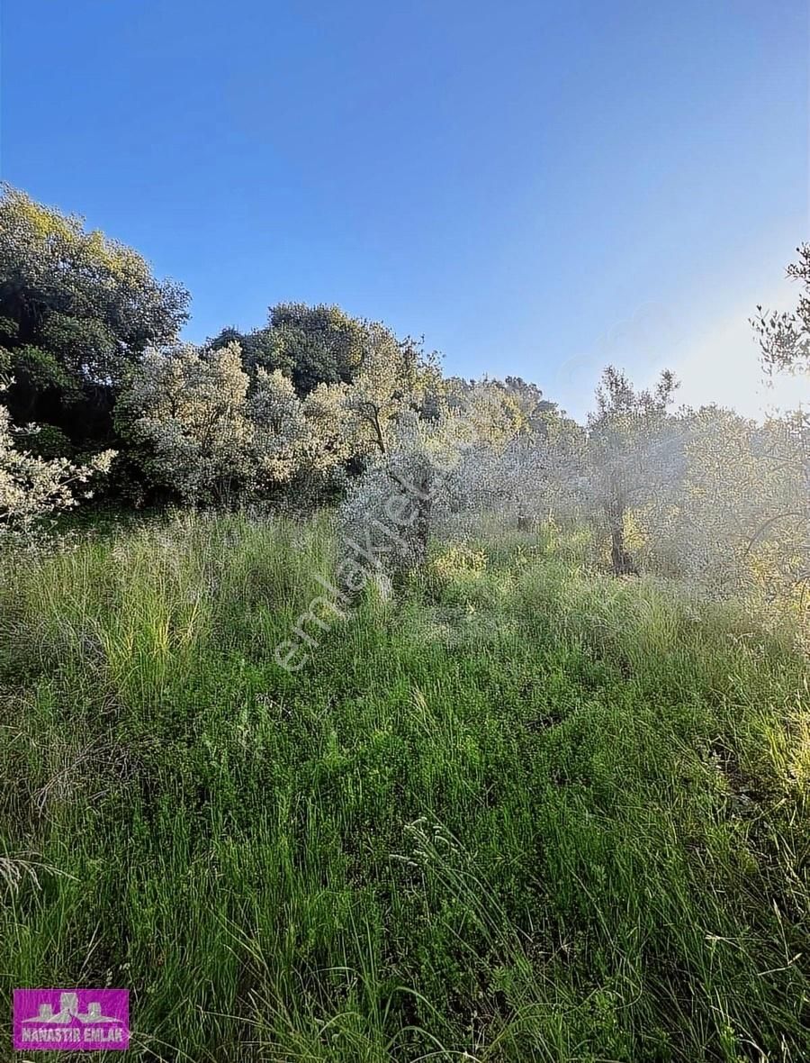 Manastır Emlak'tan Deniz Manz. İmarlı 1.266 M2 Arsa 13.250.000 - Görsel 17